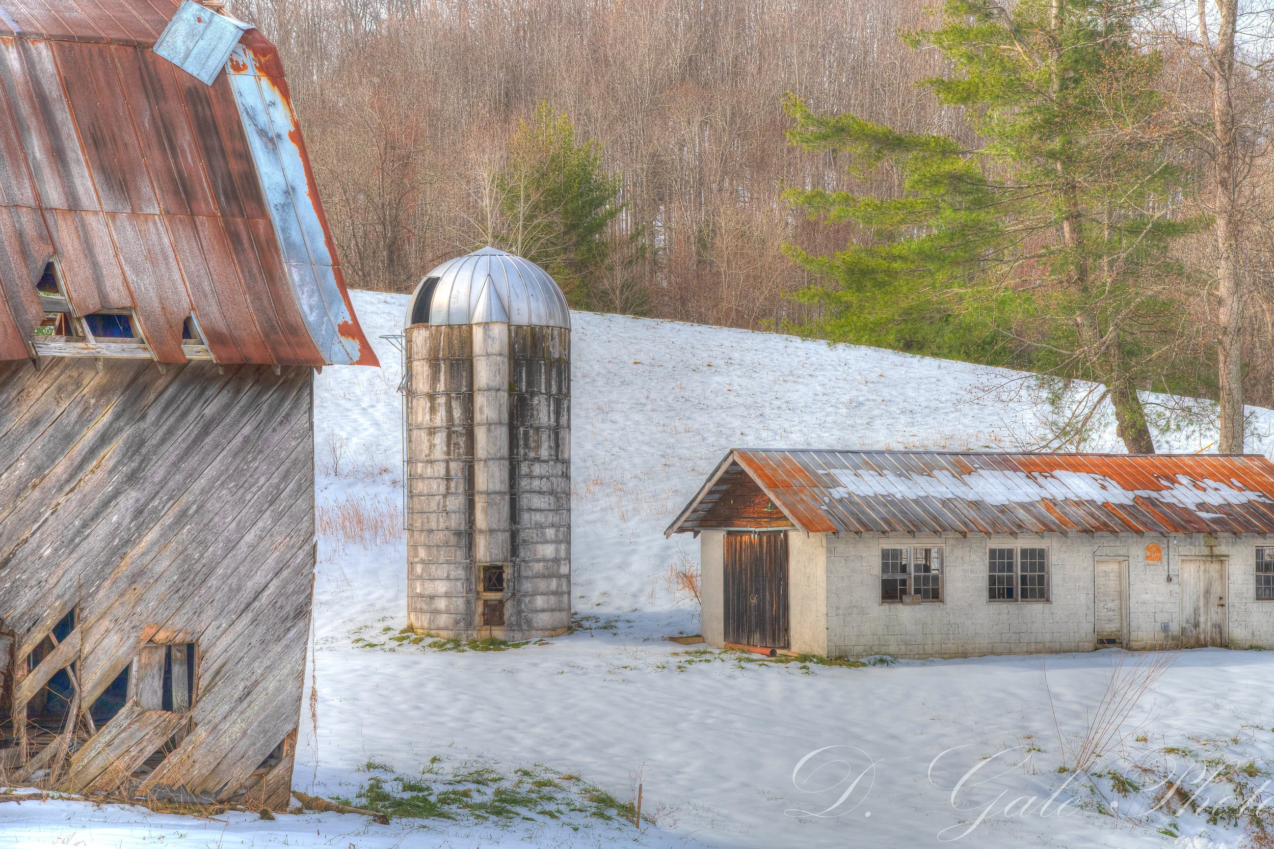 Winter in the Country