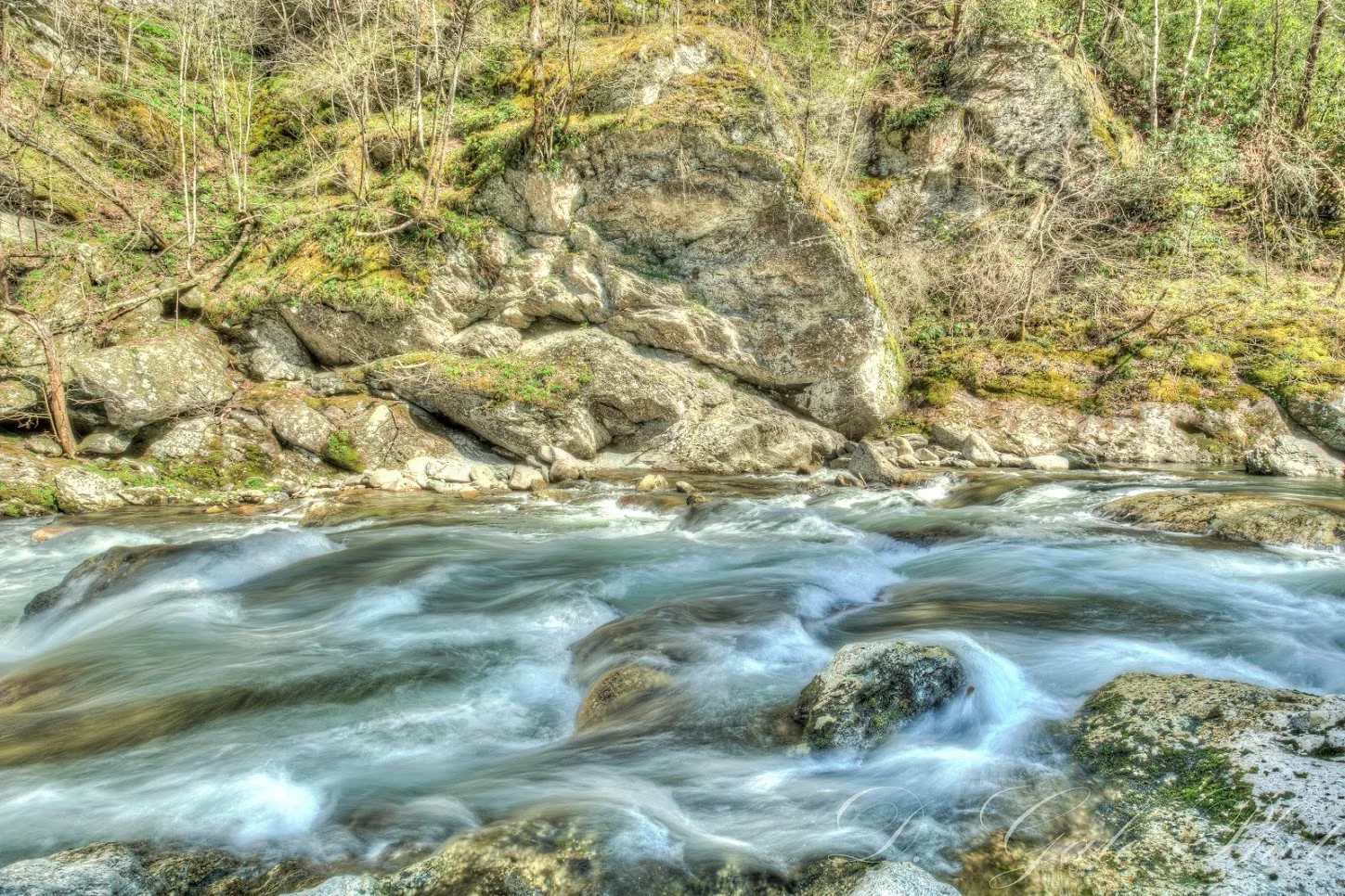DSC_7185_6_7.jpg