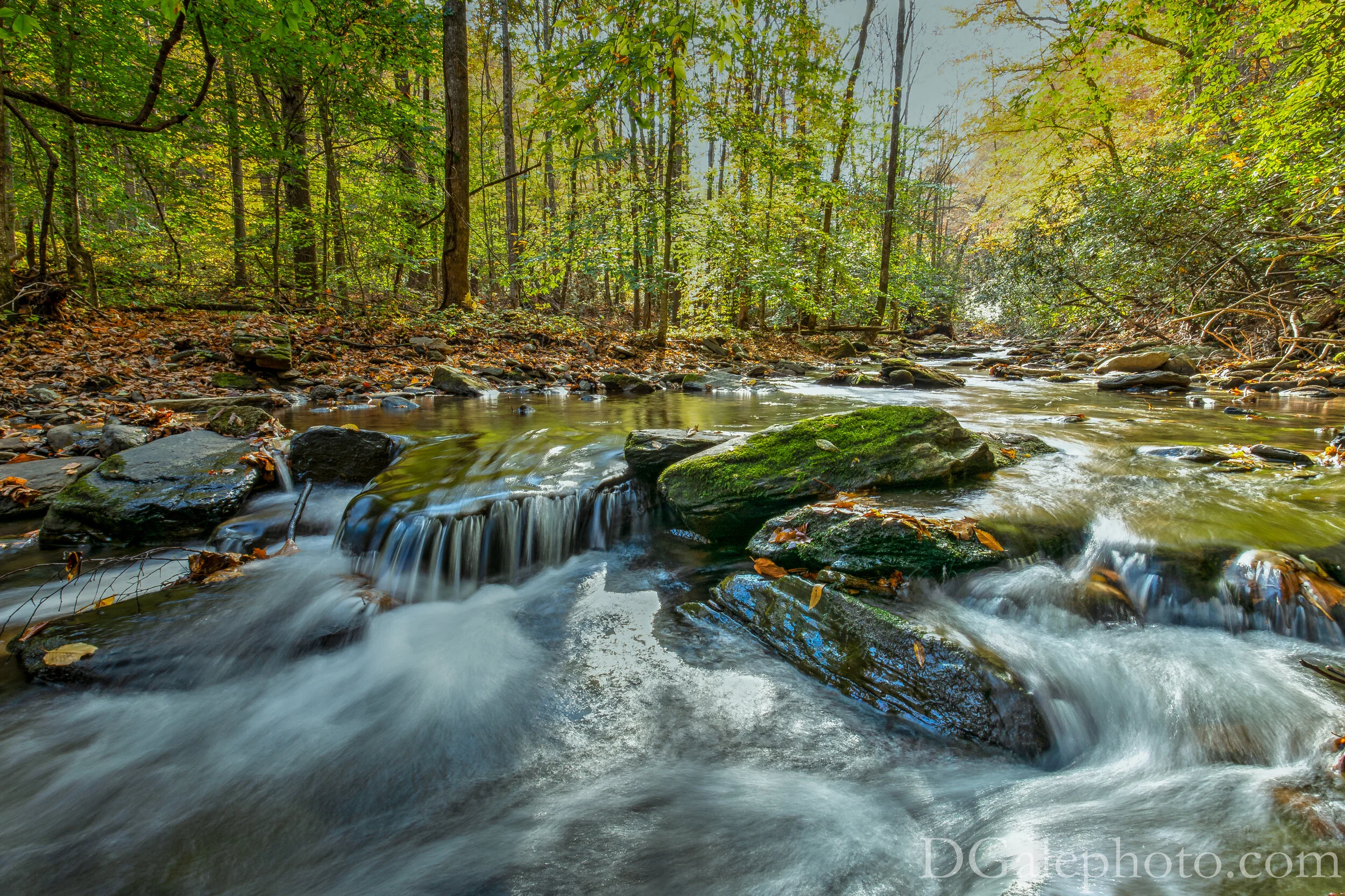 DSC_8246_tonemapped.JPG