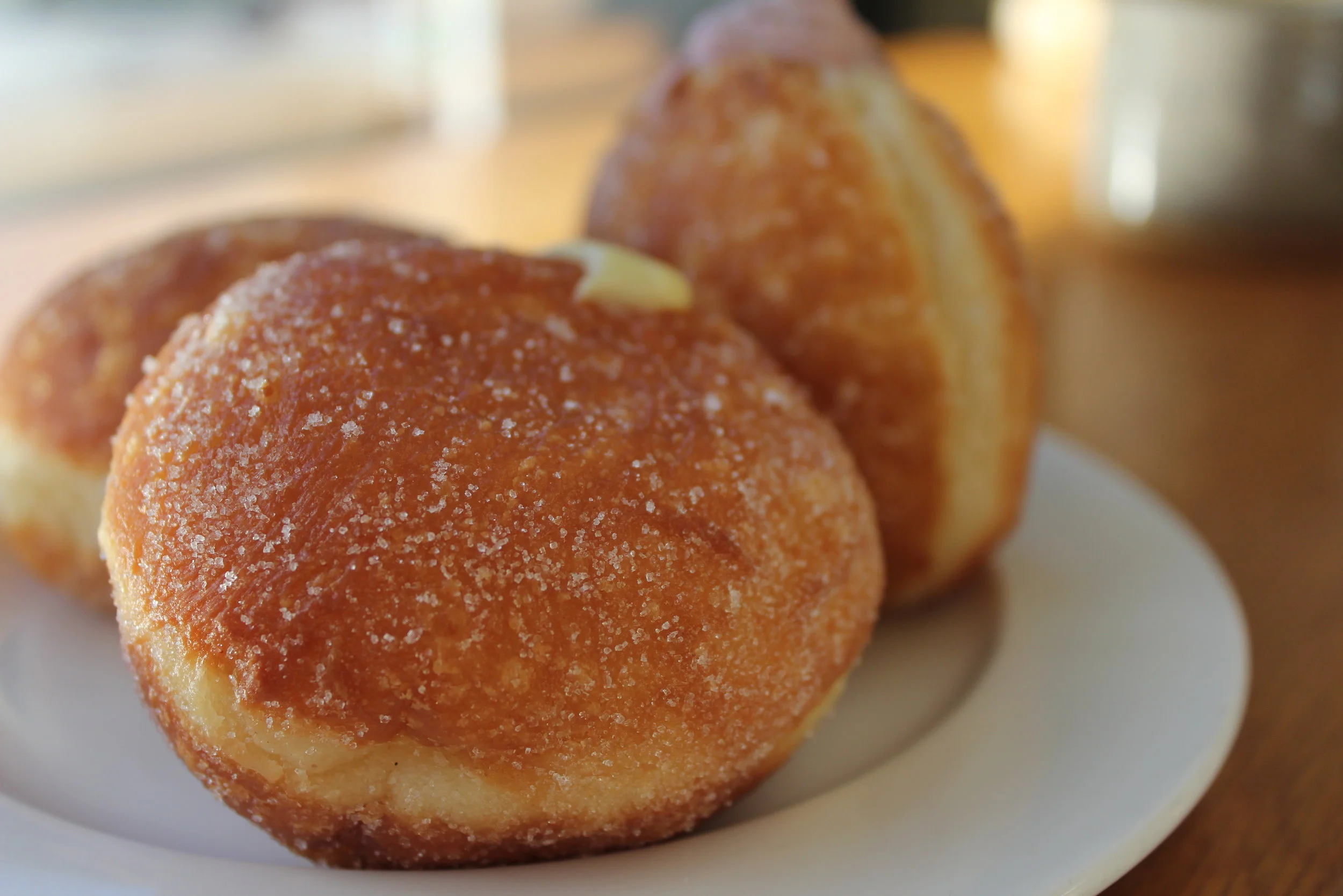 General Purpoise Serving Up the Freshness!