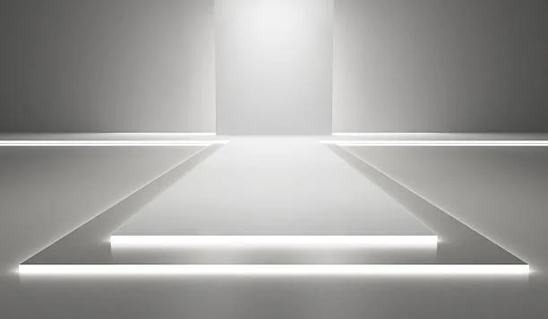 RENT-THE-RUNWAY UNLIMITED: An Expensive Faux pas. 