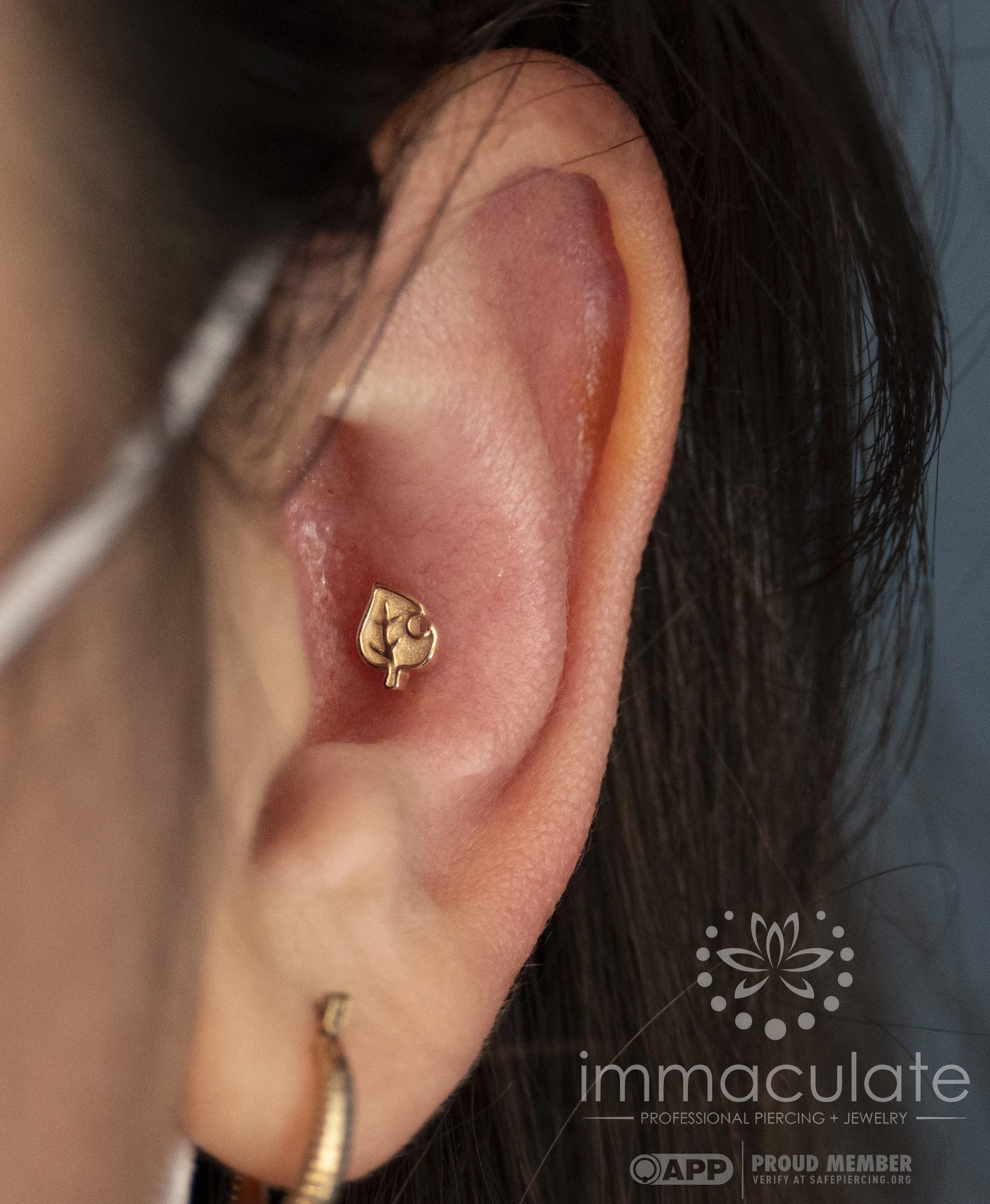  Conch Piercing by Sarah Wooten 