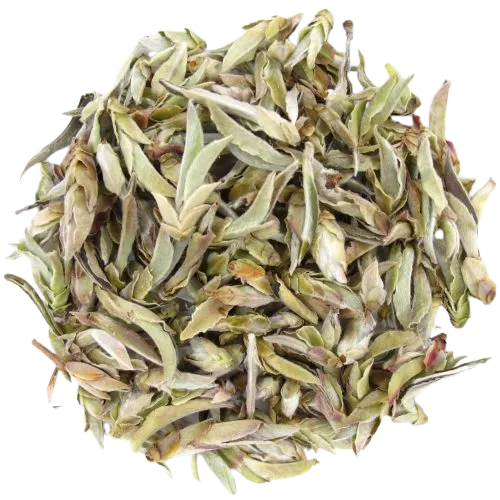 Untitled design (26).png