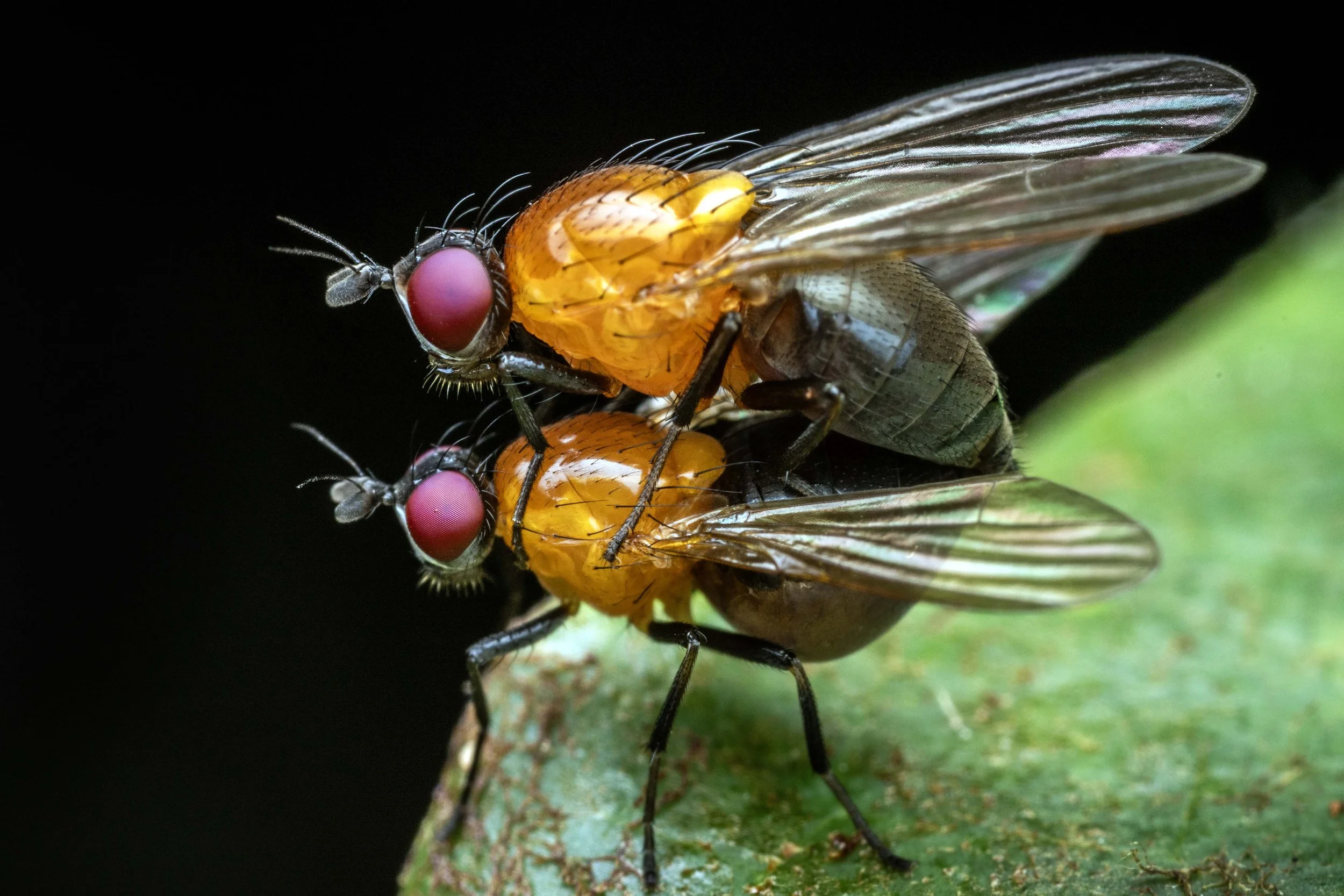 1W2A5554.jpg
