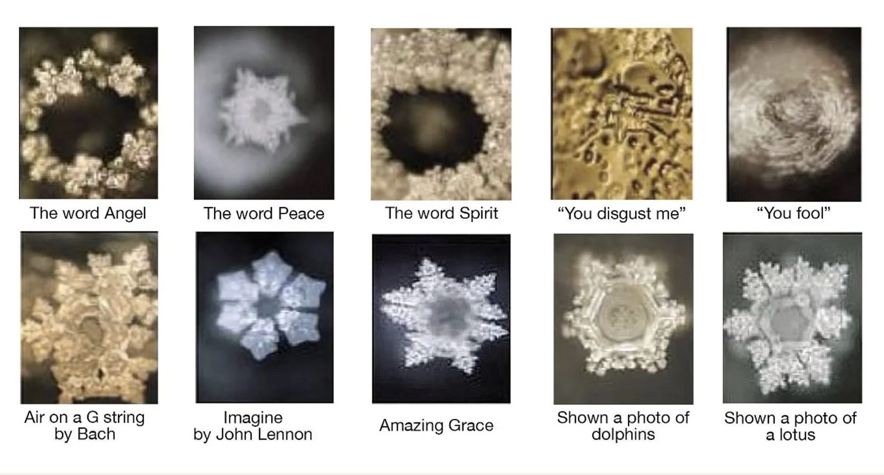 Masaru Emoto