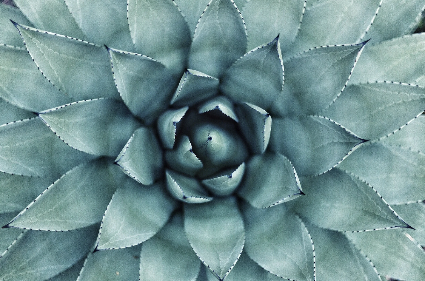 Navigating the Path to a More Fulfilling Life