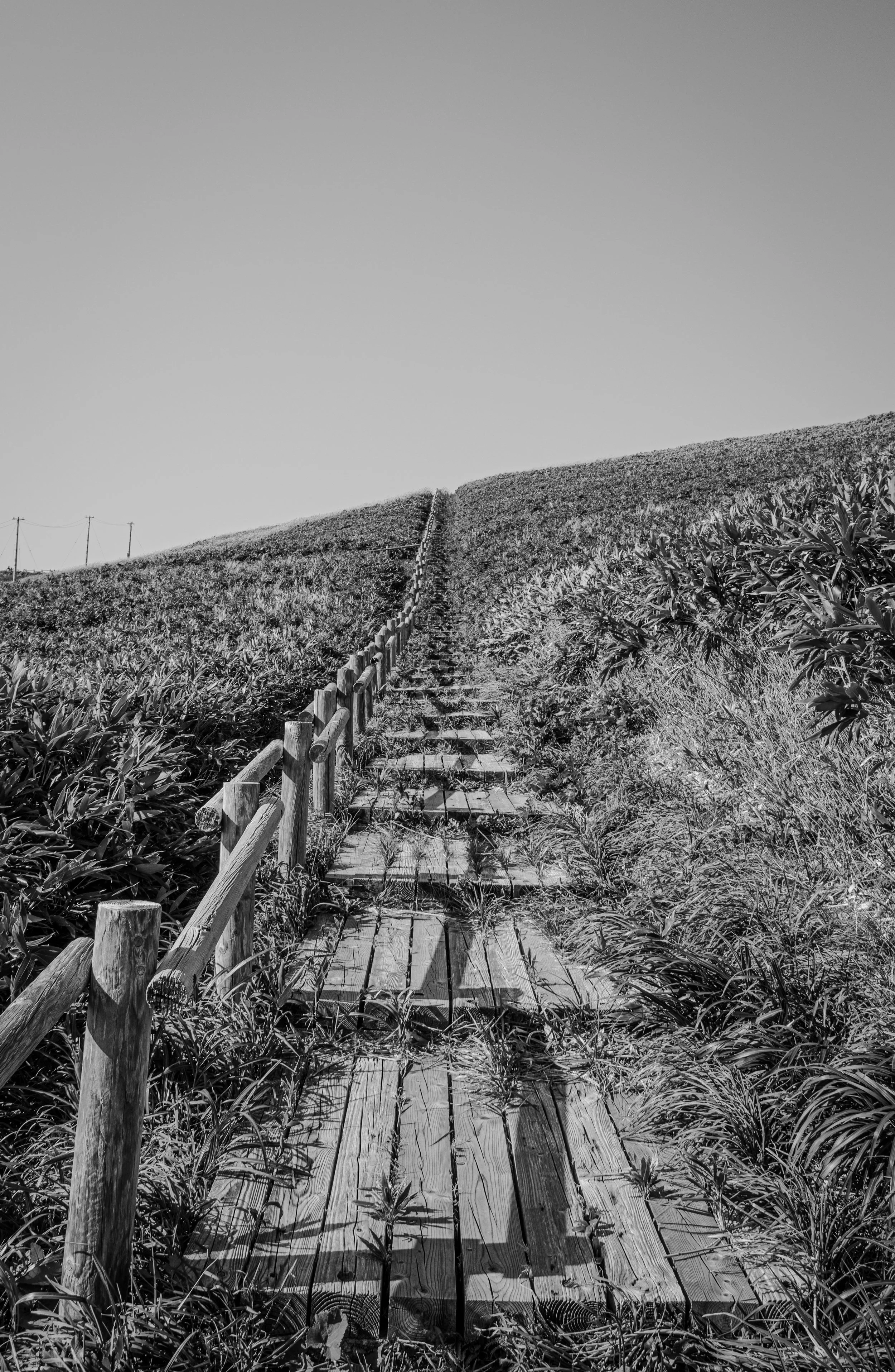 Cape Kamui, Sapporo, Japan