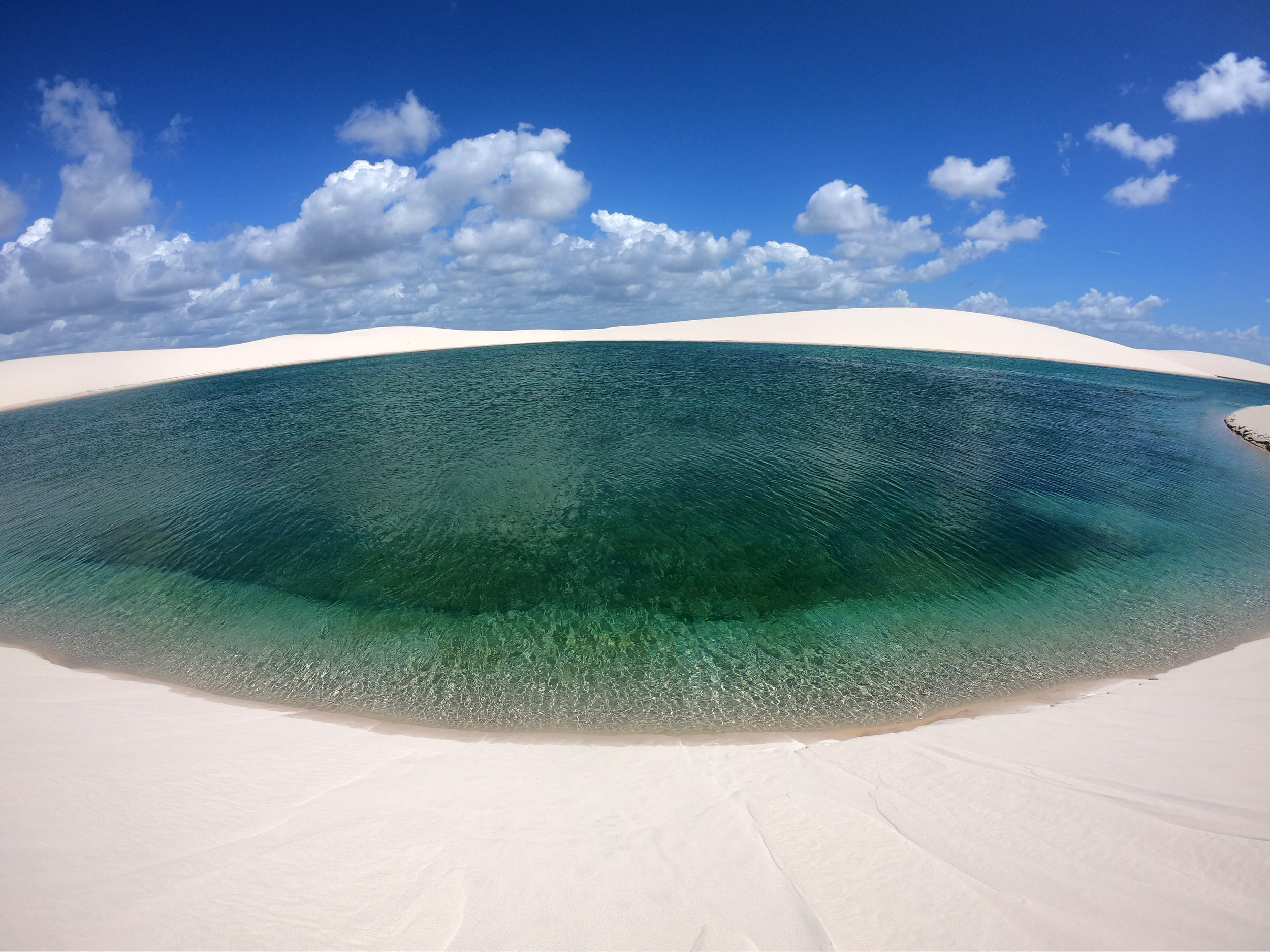 blink and you'll miss it: the world's best pop-up wonders