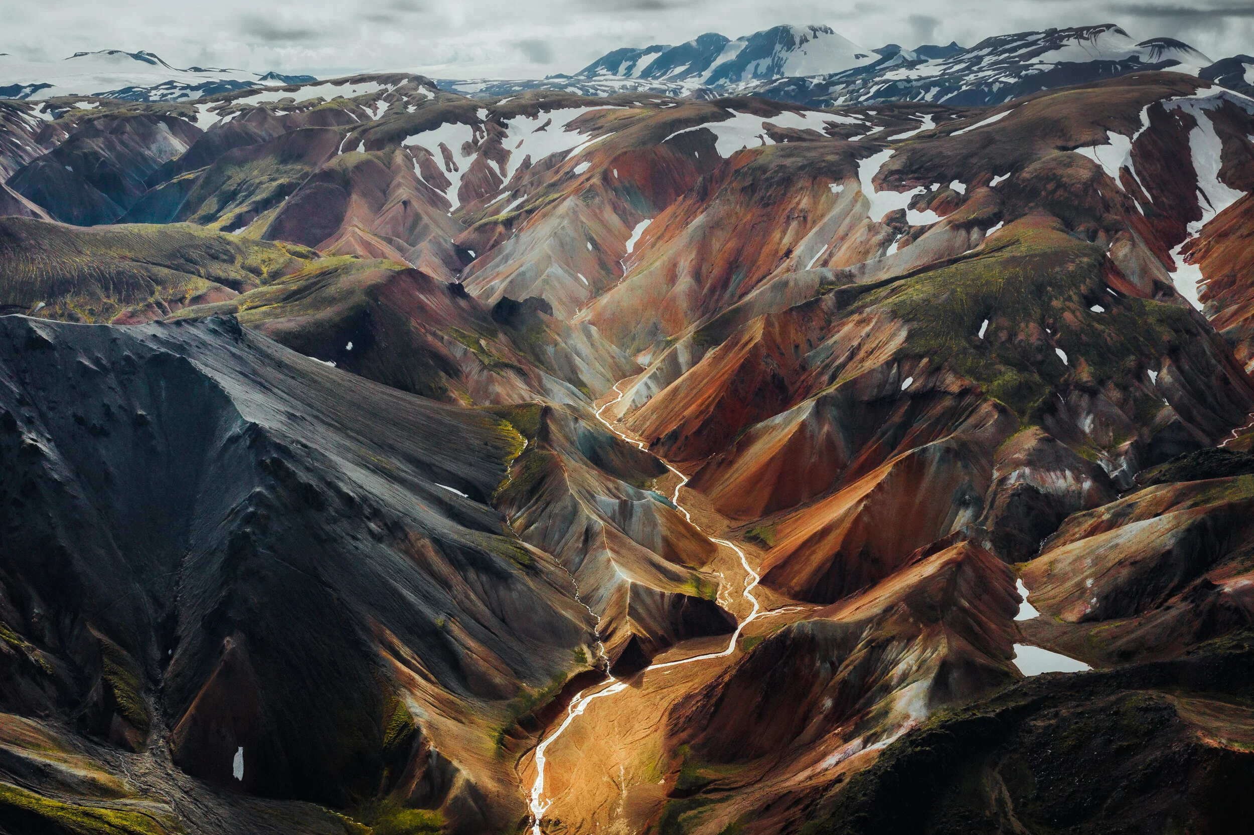 into the wild: a conversation with jason charles hill part two