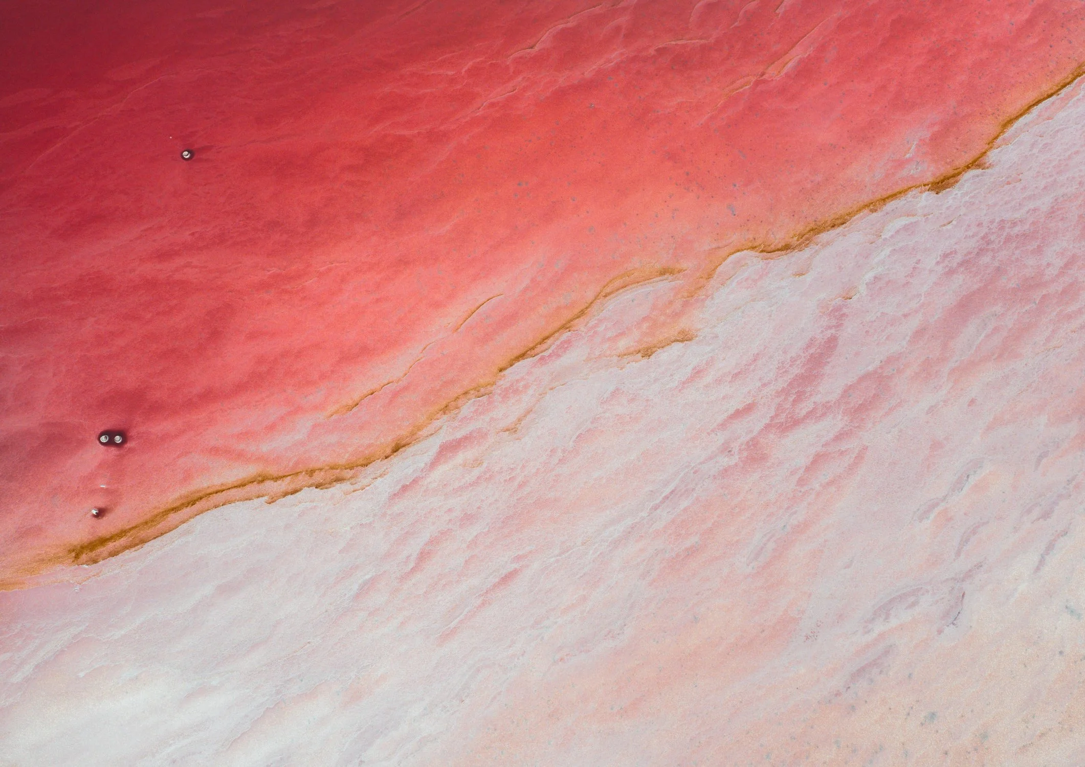 Living a Wild Life with Hayley Anderson: Part 2