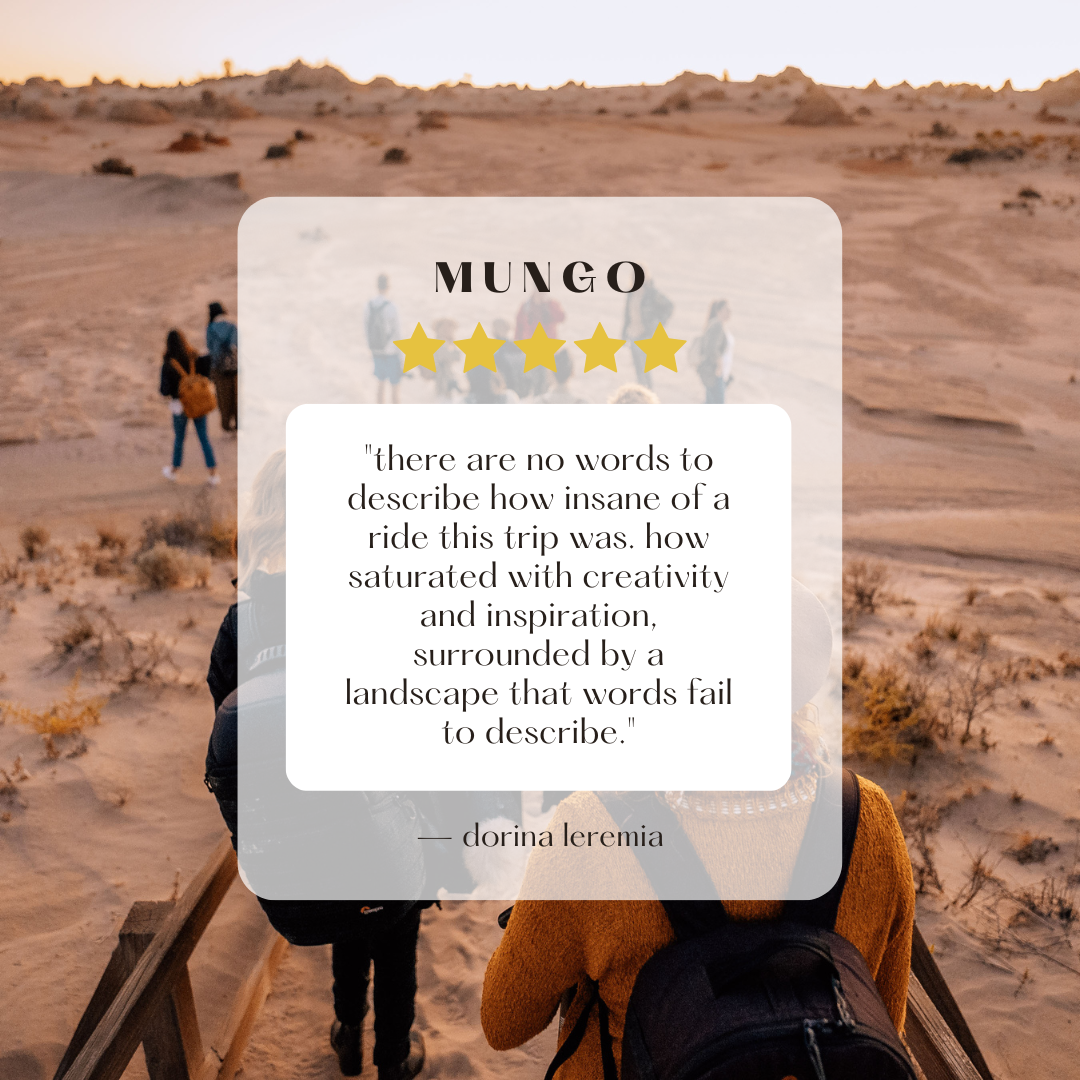 mungo traveller review (1).png