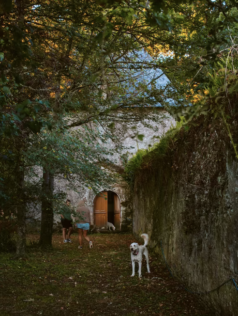 Screenshot 2026-03-02 at 9.29.53 AM.png