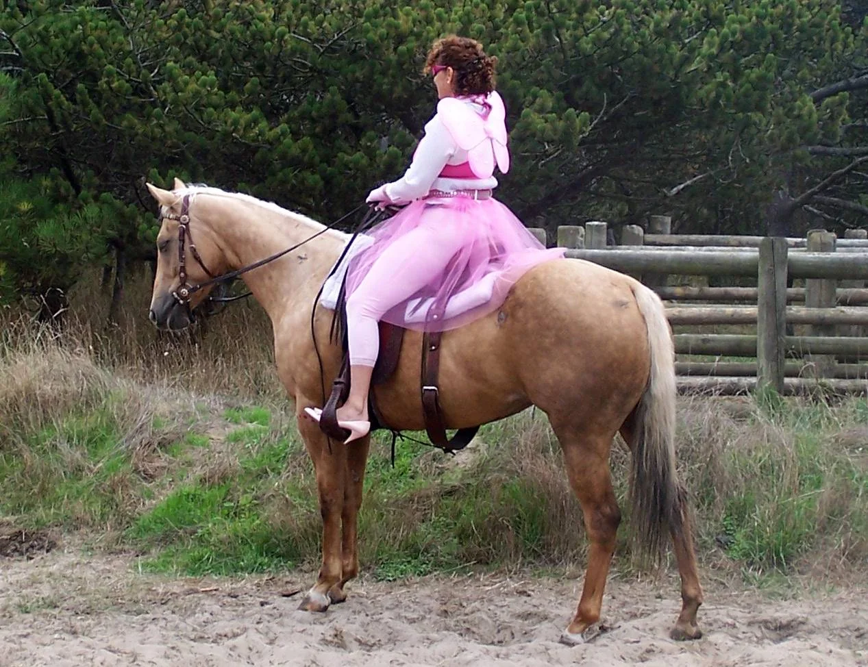 The pie faerie knows when you've been bad or good...................