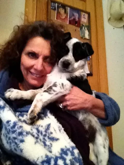 Behind every good pie chef there is a dog that tells them what to do. Dwhite shown here with Suzanne. She doesn't let him work the crust dough, though. He is strictly chicken herder and horse overseer.