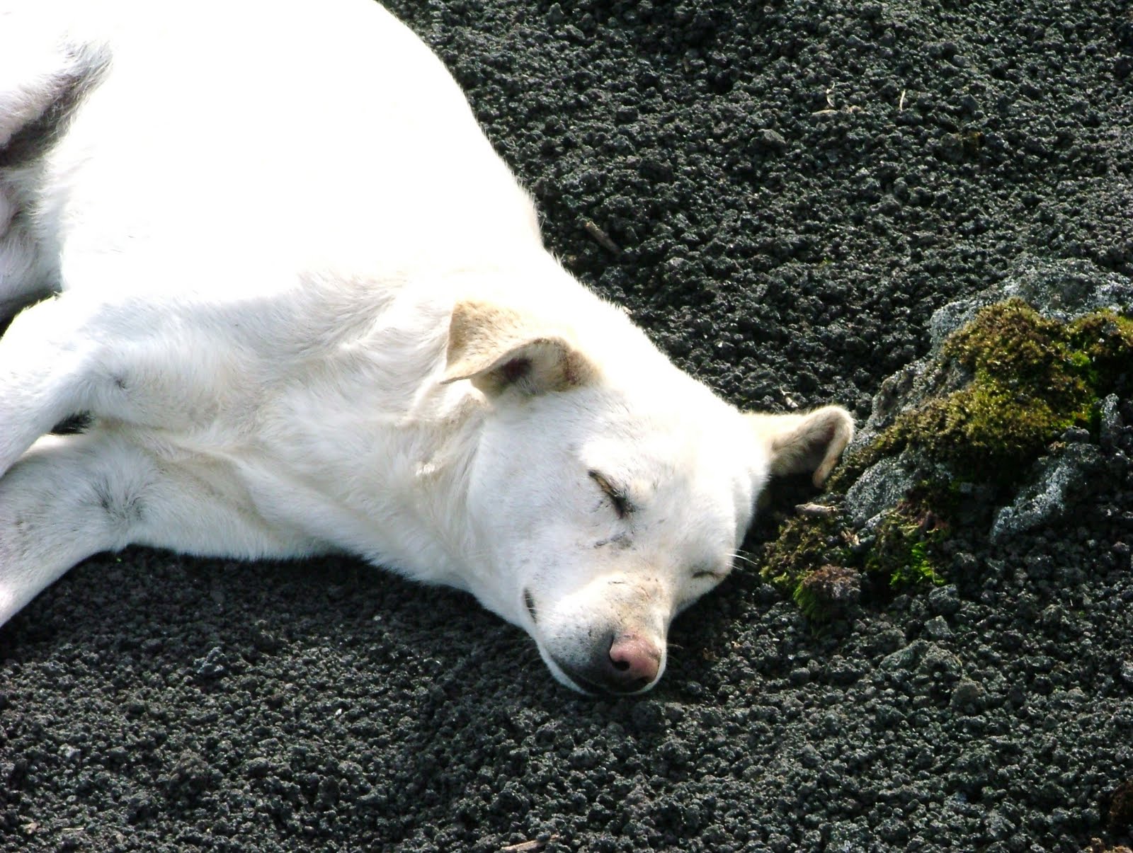 DSCF5369.jpg