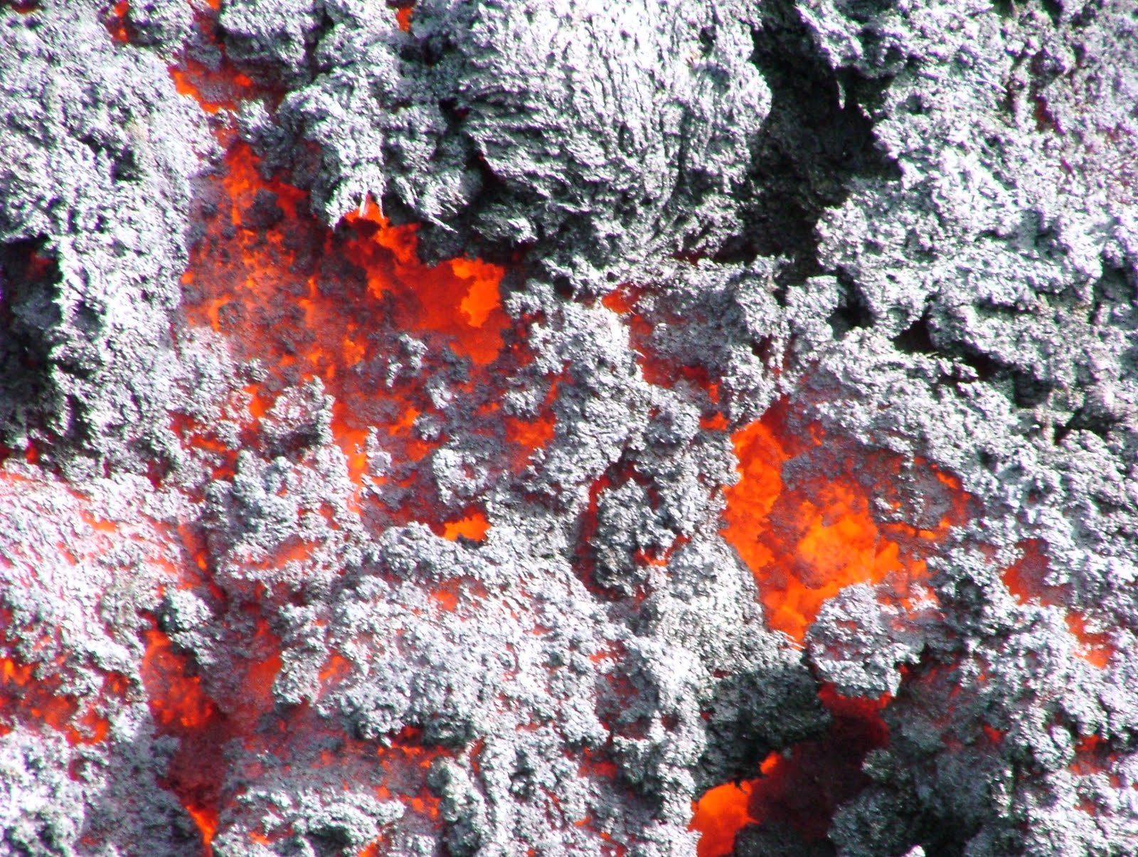 DSCF5368.jpg