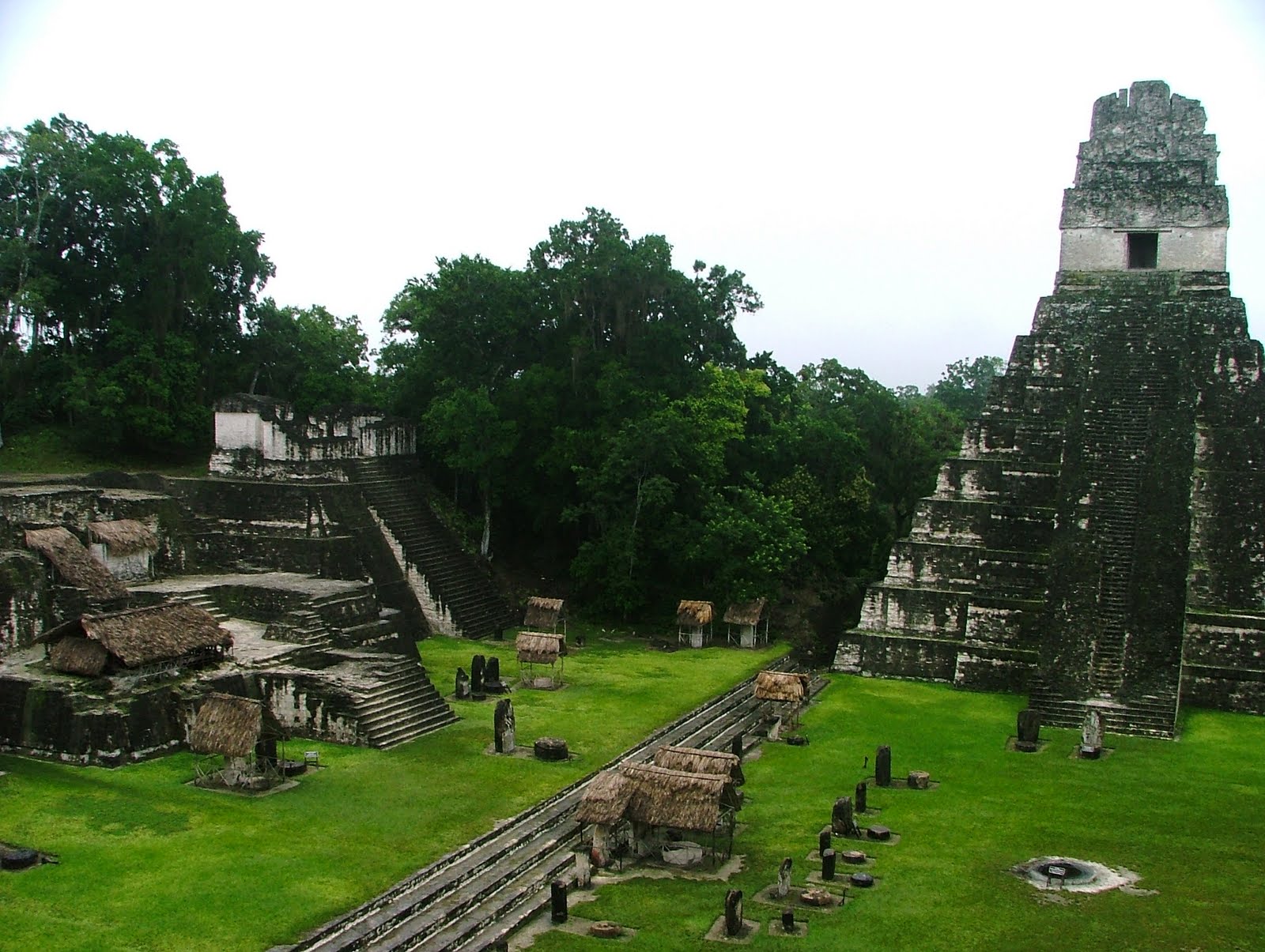 DSCF5396.jpg