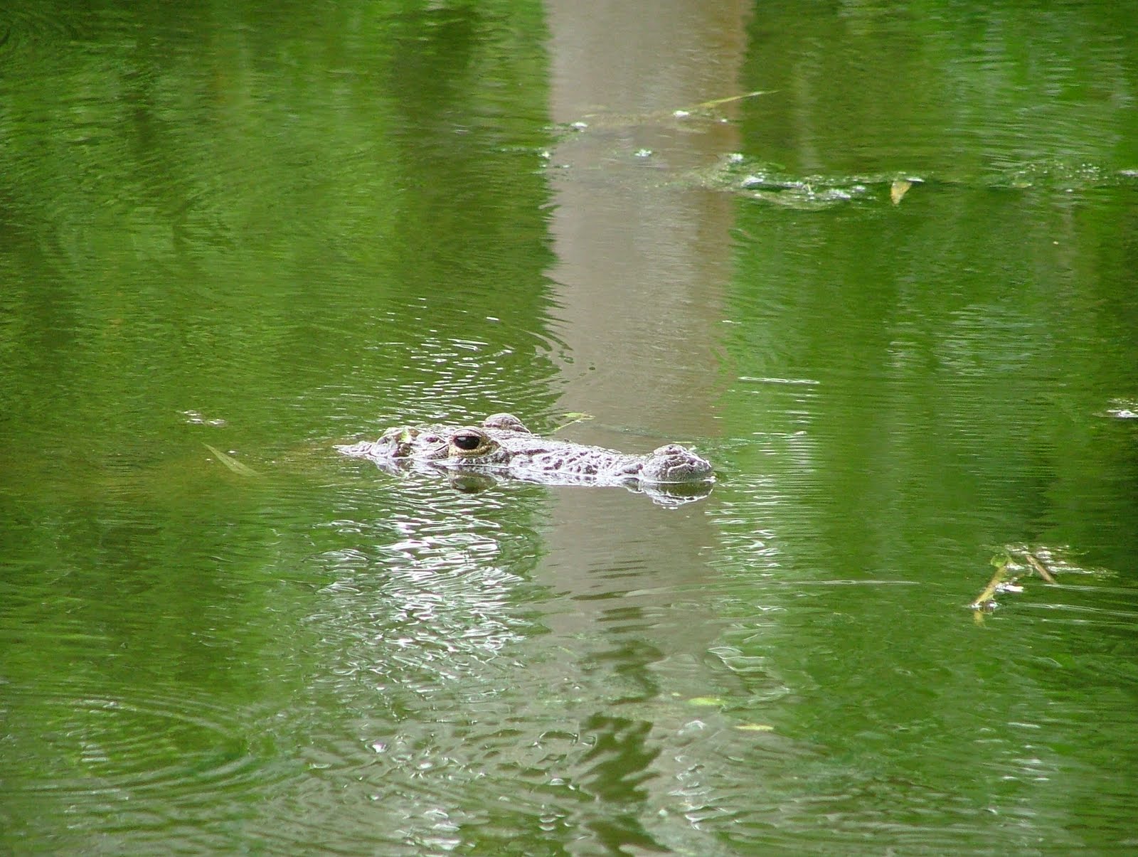 DSCF5463.jpg