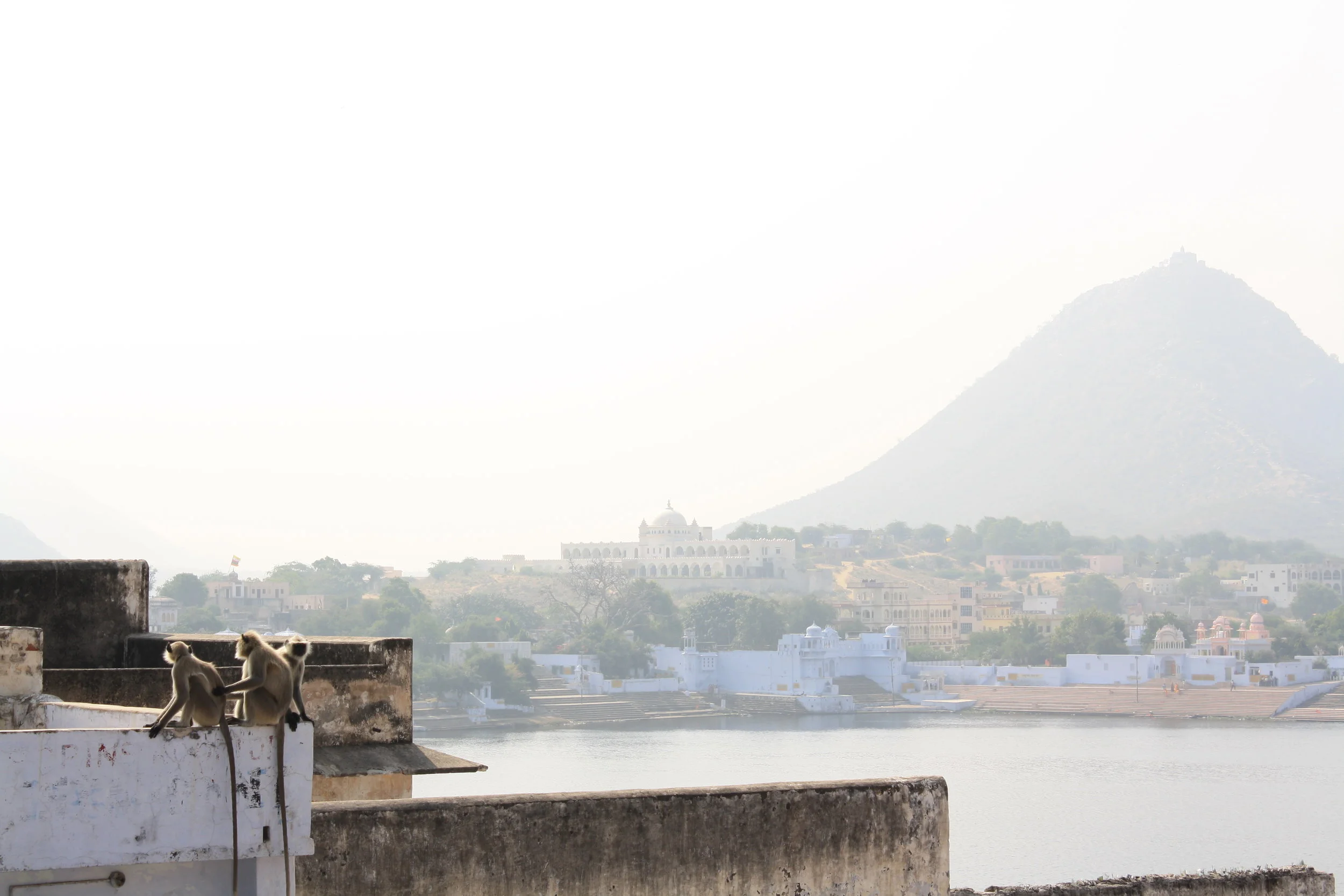 Bramha accepts all curriencies