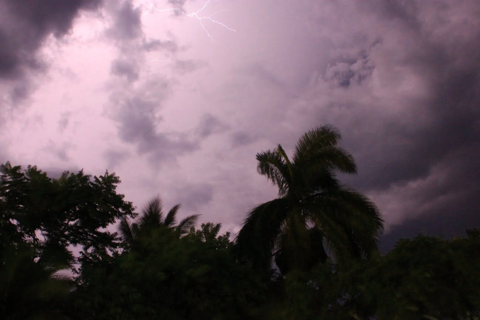 Tropic thunder