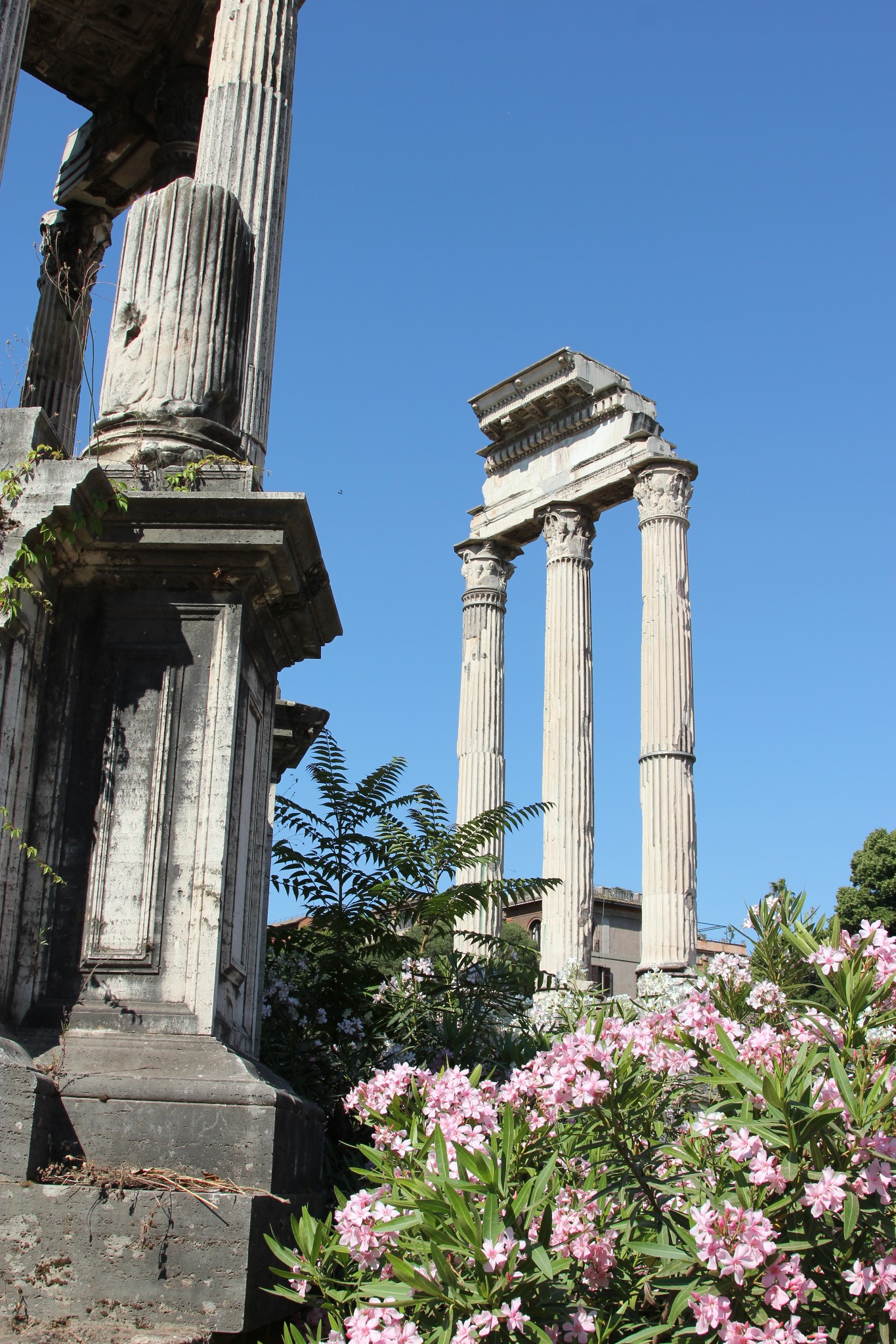 Roma
