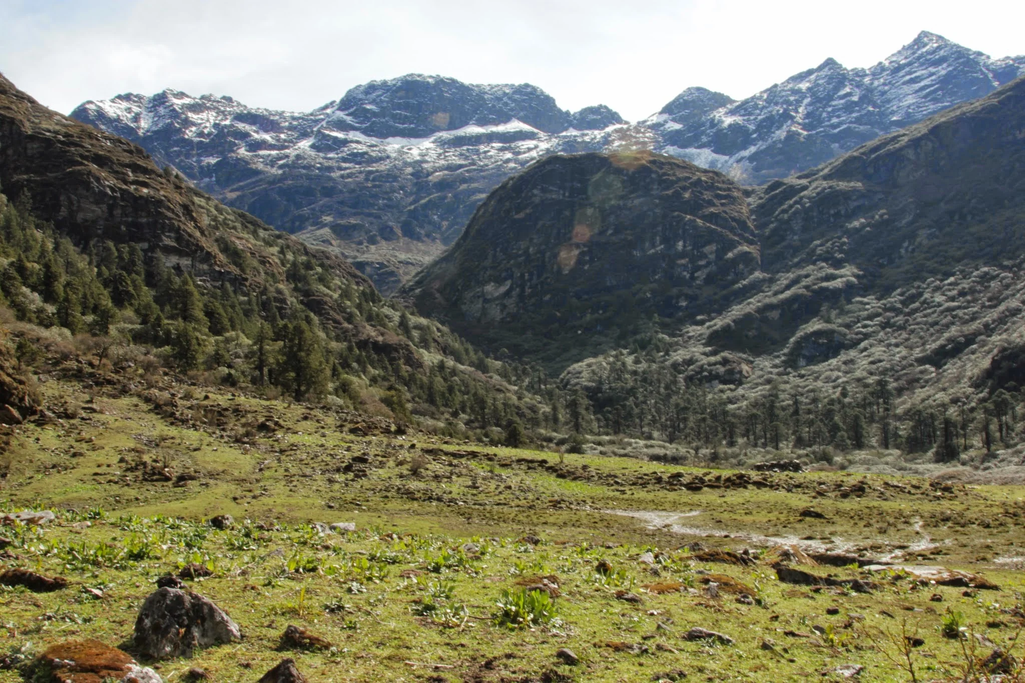 Druk path: Trekking i Bhutan del 2