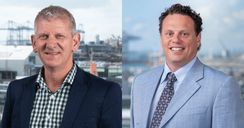 NZTE Trade and Investment Insights