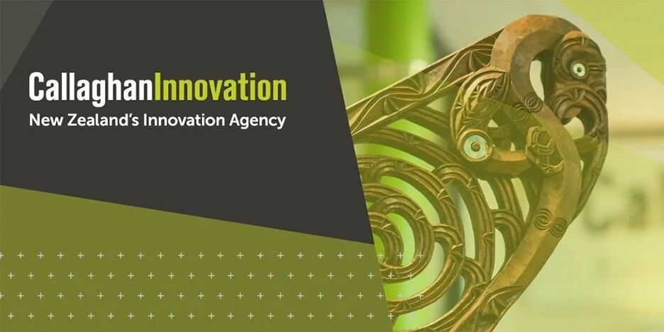 Callaghan Innovation - Capital Education Introductory Workshop (2)