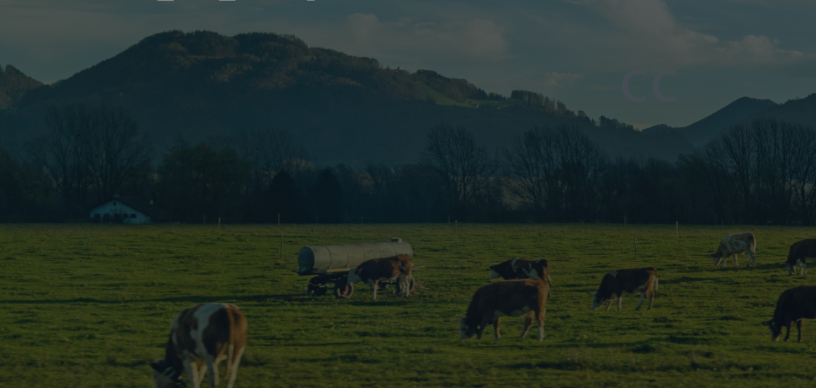 Techstars - Food Waste AMA
