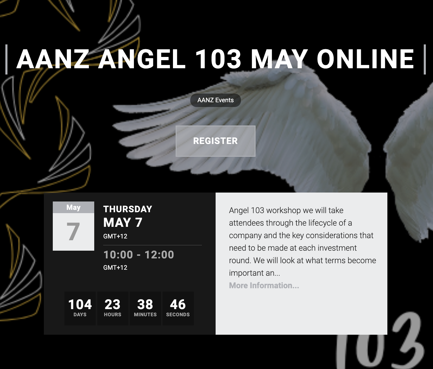 Angel 103 - AANZ Angel Investing Workshop [First cycle]