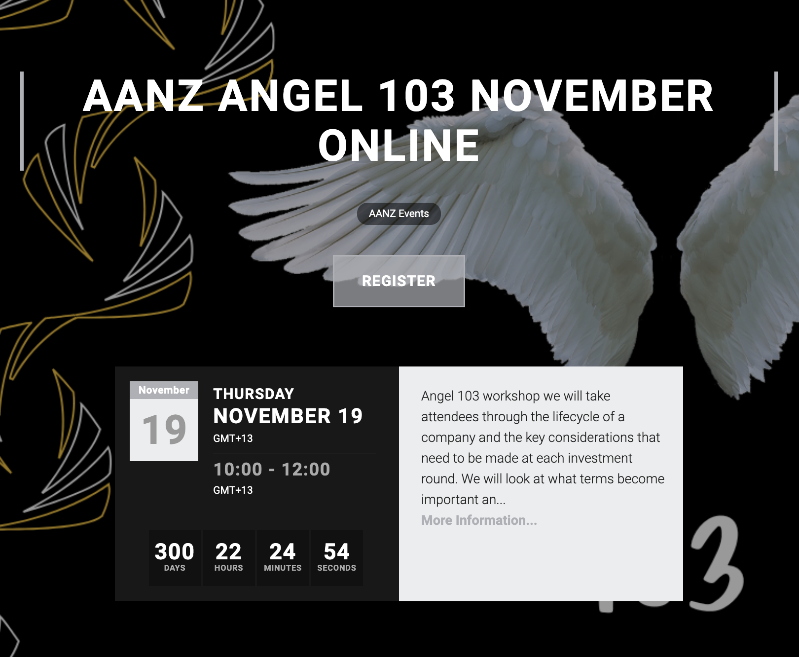 Angel 103 - AANZ Angel Investing Workshop [Second cycle]