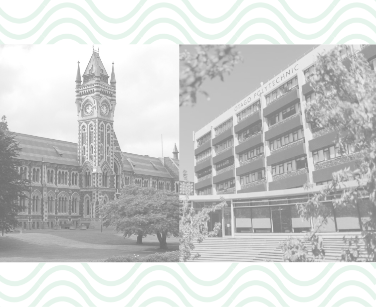 Resources — Startup Dunedin