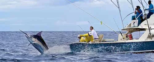 Credit: Share a Fishing Charter