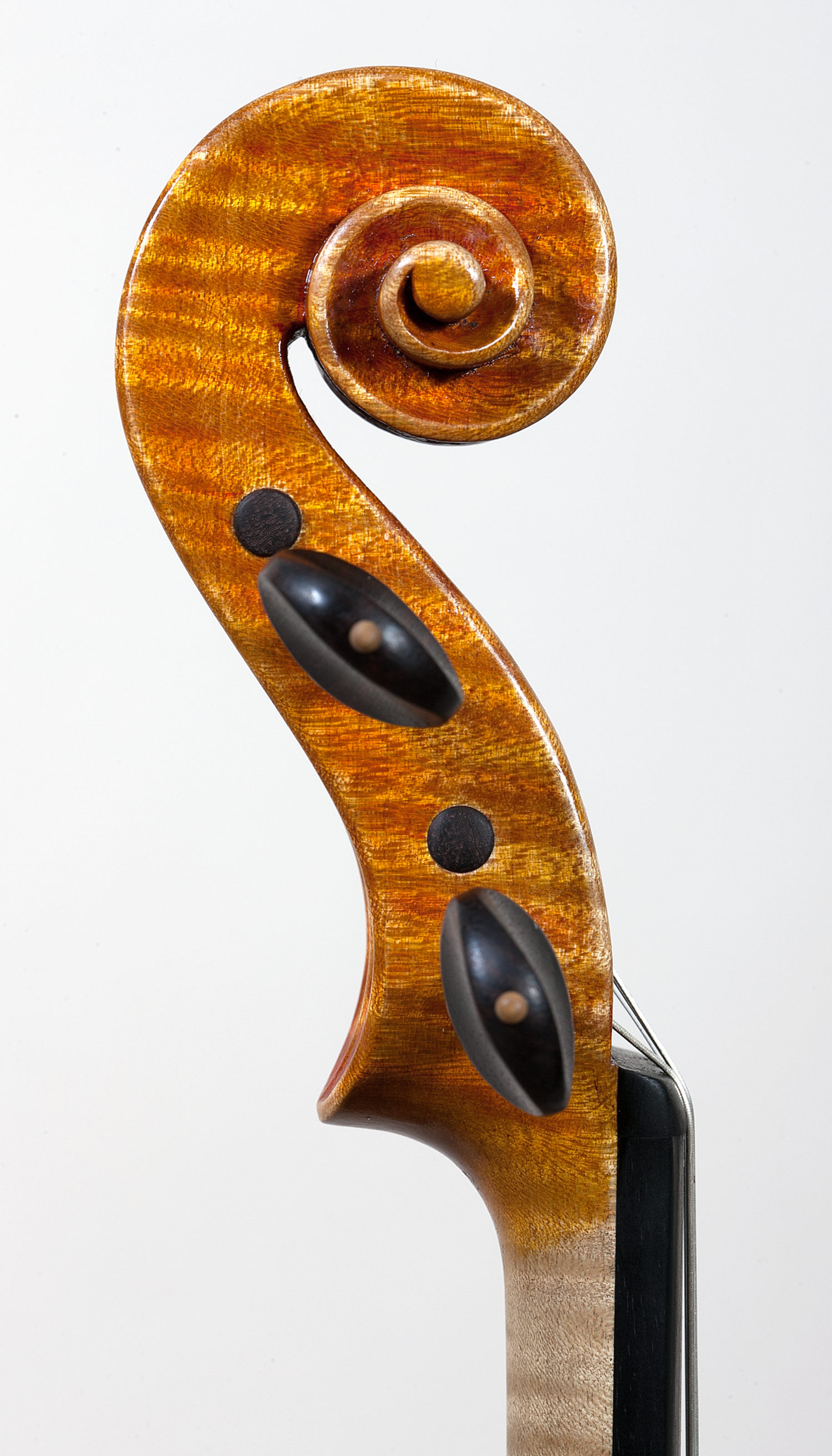 Violino modello Guadagnini, anno 2014