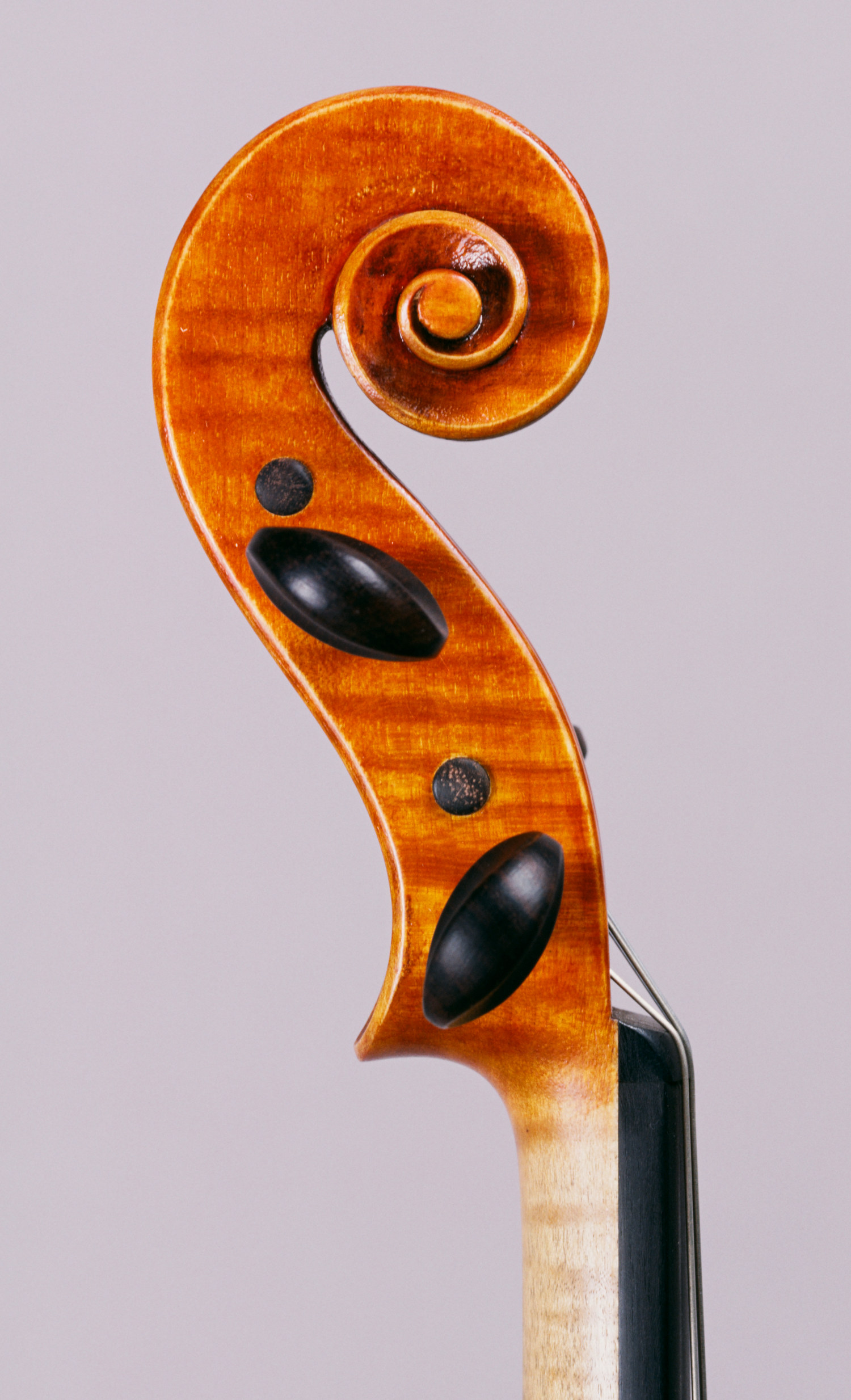 Violino modello Nicola Amati, anno 2008