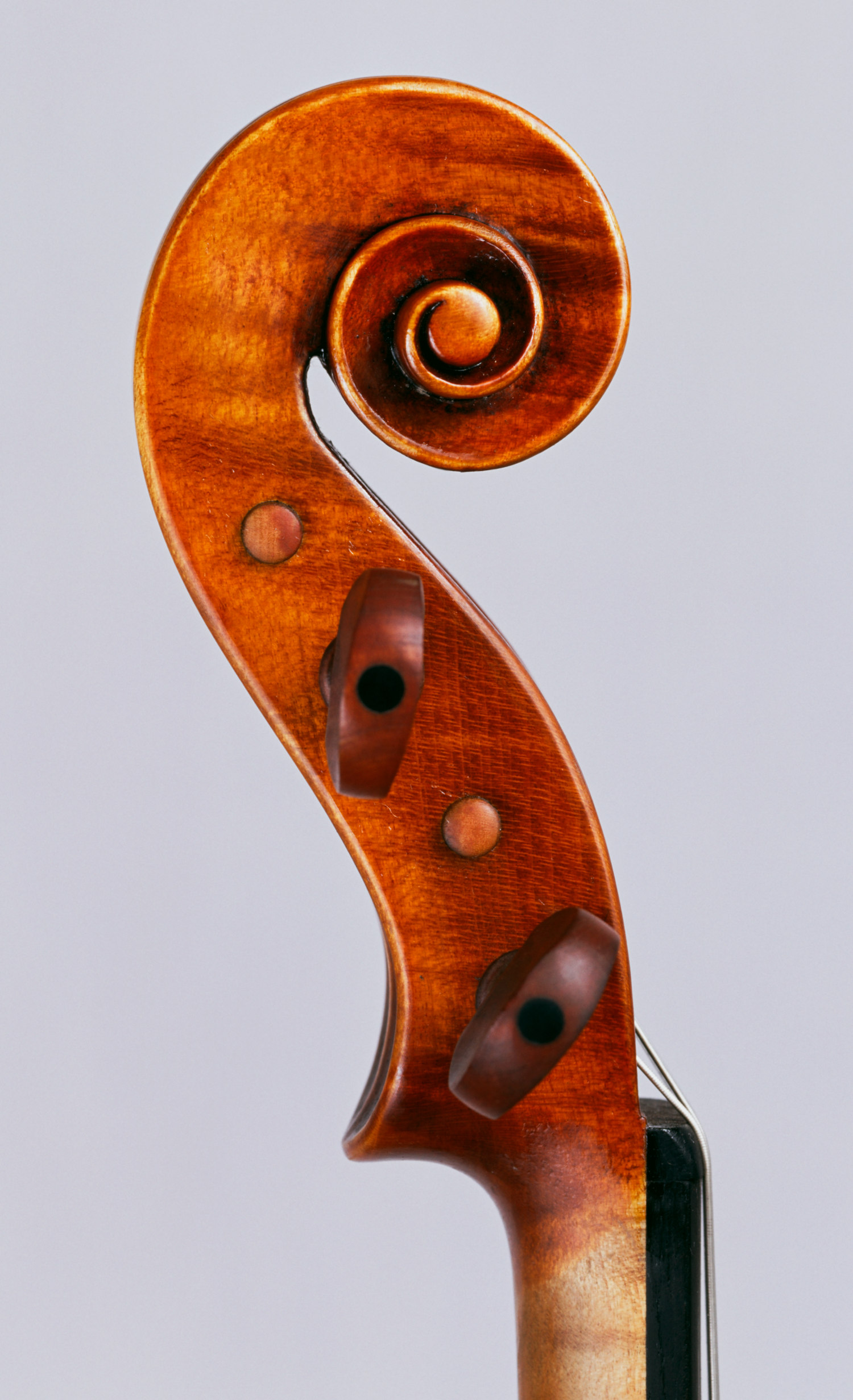 Violino modello Nicola Amati, anno 1999