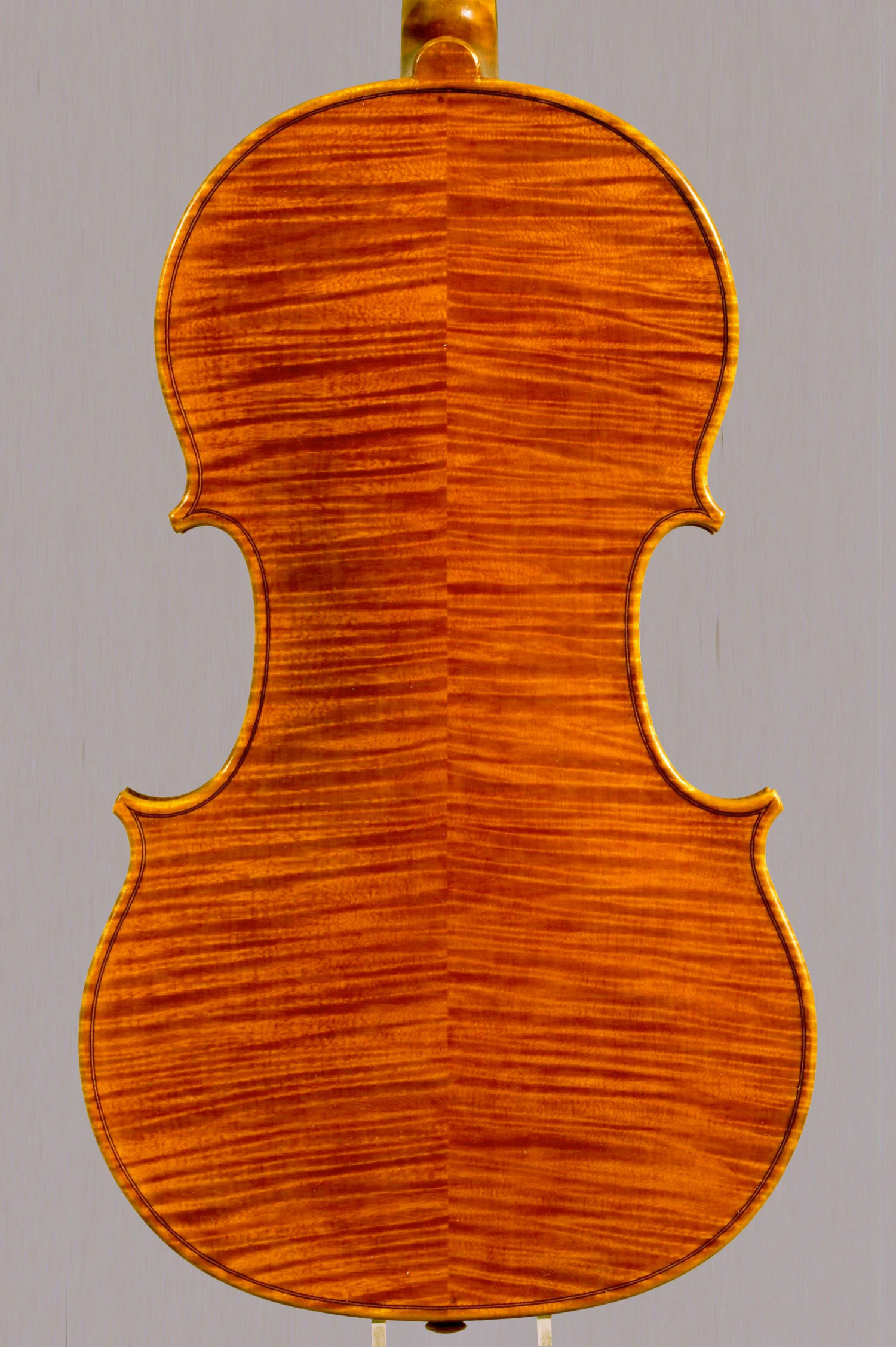 viola-41-5-modello-antonio-e-girolamo-amati-dettaglio-fondo.jpeg