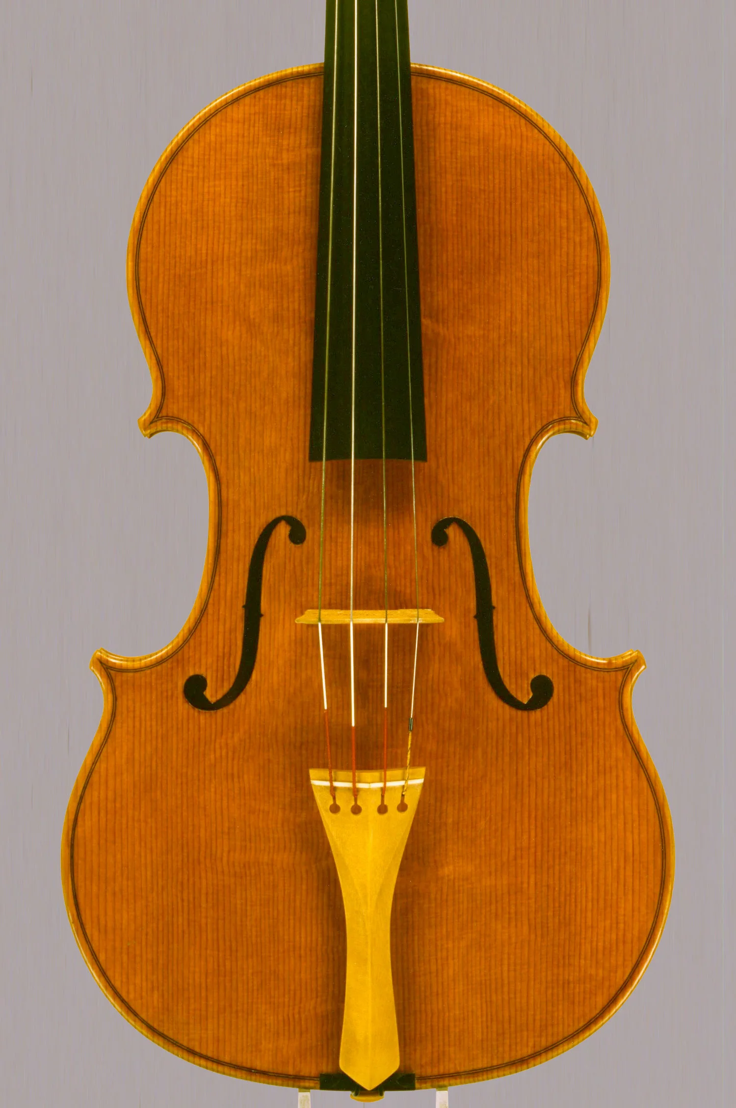 viola-41-5-modello-antonio-e-girolamo-amati-dettaglio-tavola.jpeg