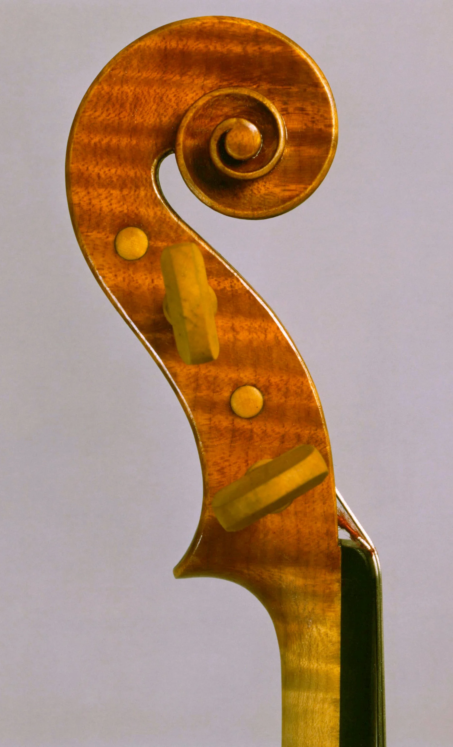 viola-41-5-modello-antonio-e-girolamo-amati-testa.jpeg