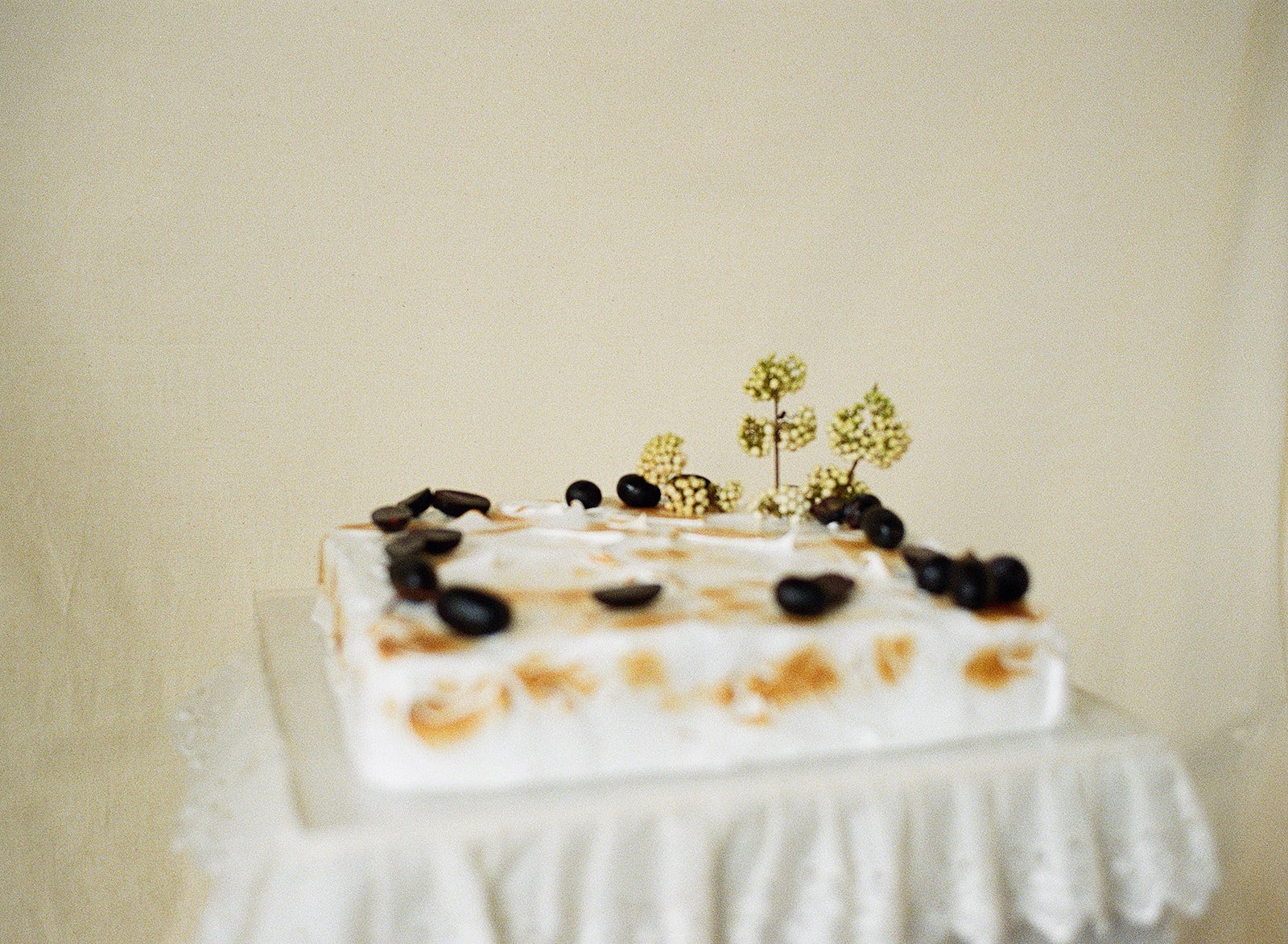 SUSS cake 4.jpg
