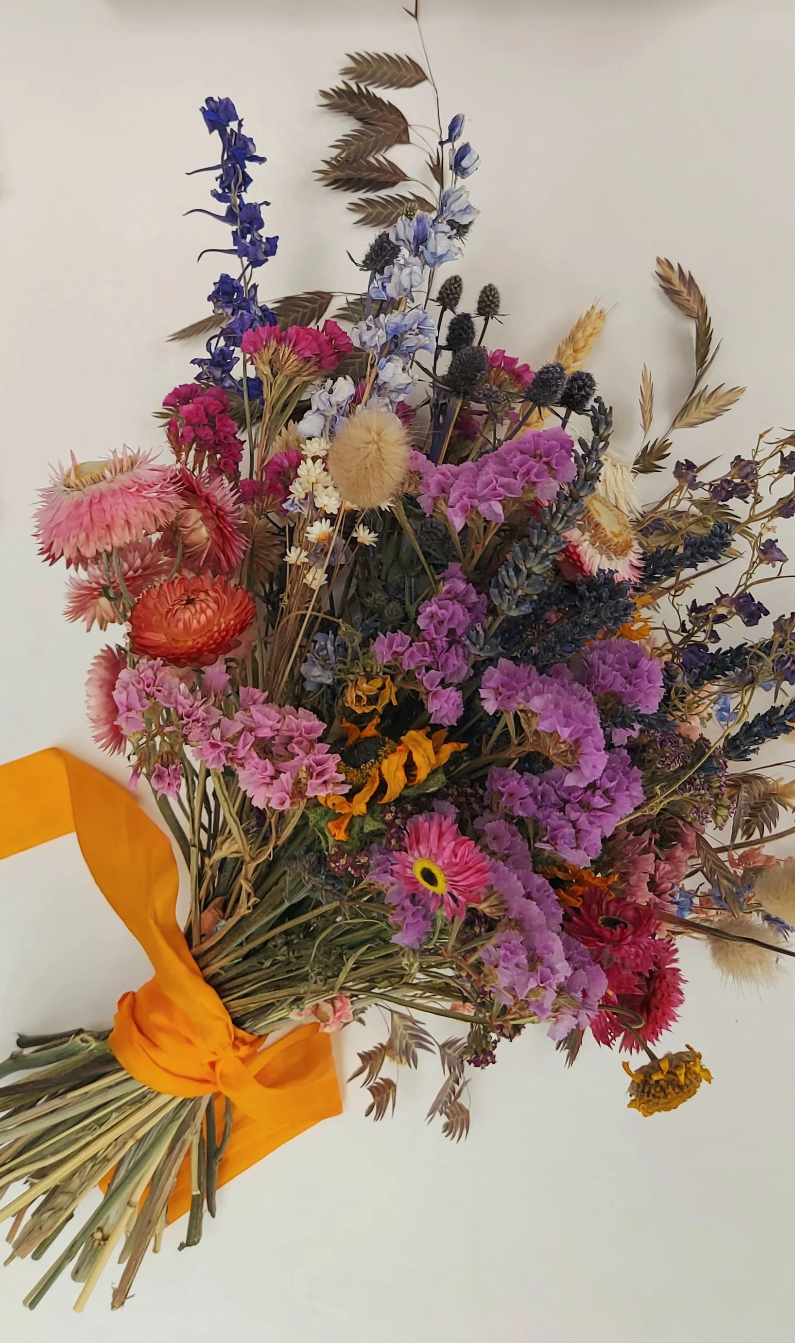 20251007_104952 - Sally Bastard.jpeg