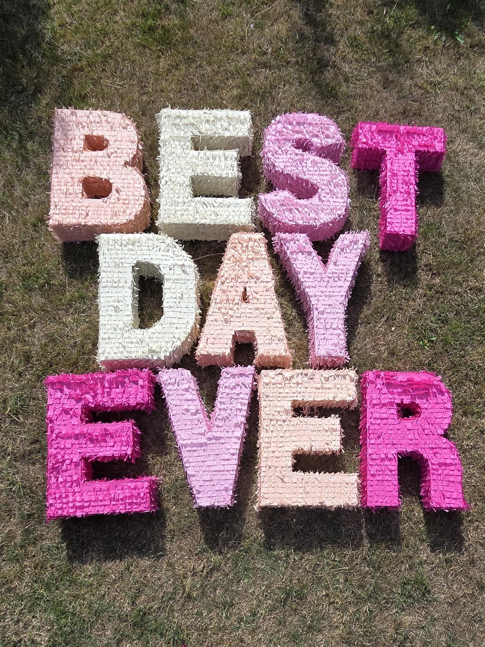 BEST DAY EVER Pinatas - Kate Jenkins.jpg
