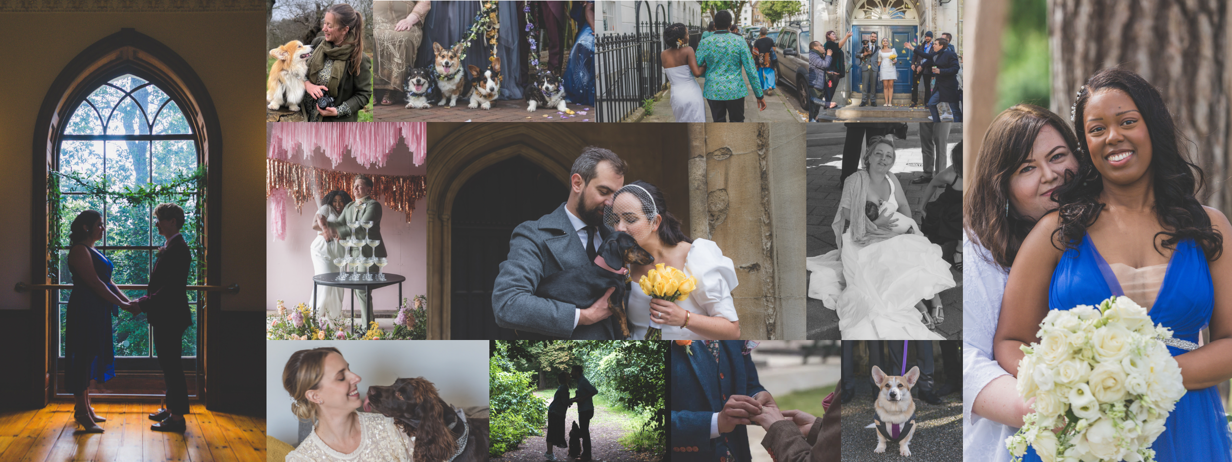 Cover Image Photobya4 2024 - Aurélie Four Photography (she her).PNG