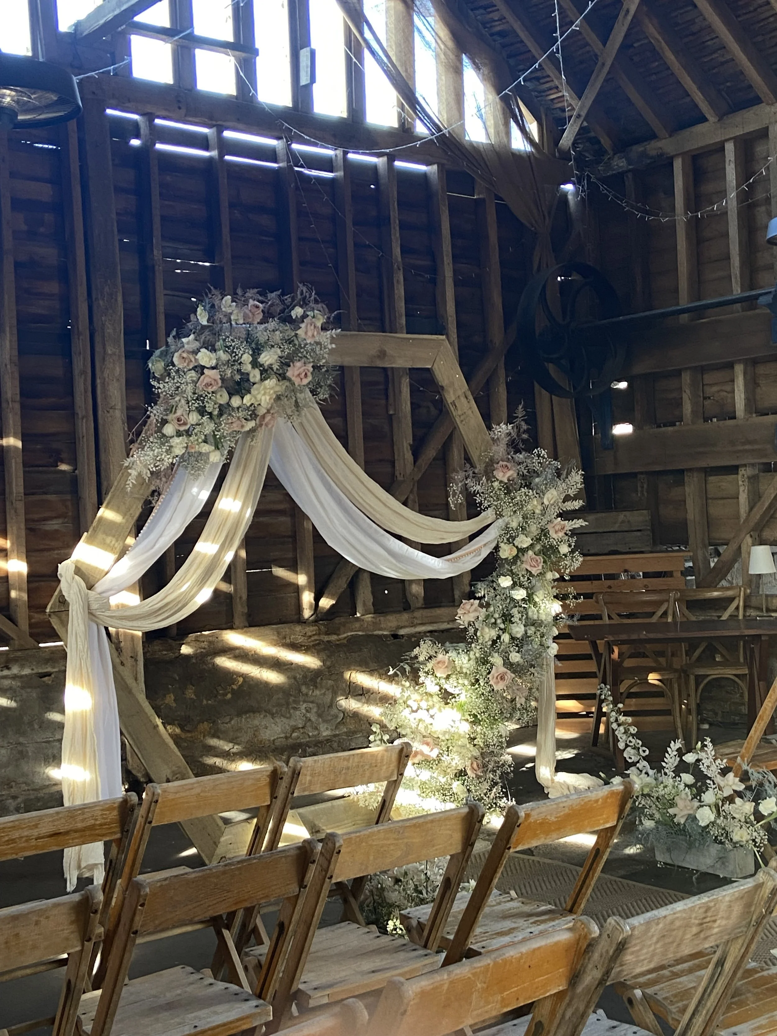 IMG_0986 - Boom Blooms.jpeg