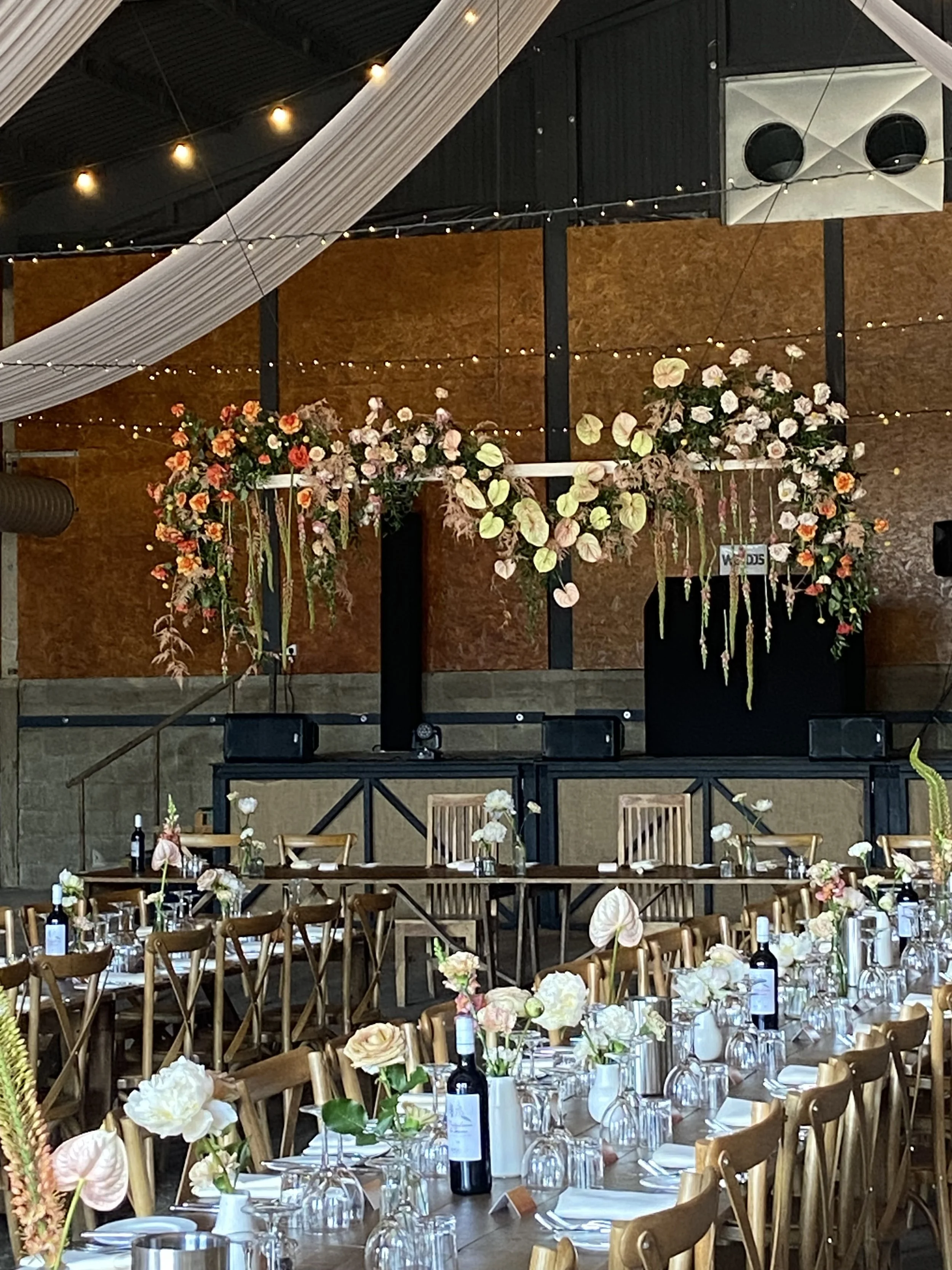 IMG_4809 - Boom Blooms.jpeg