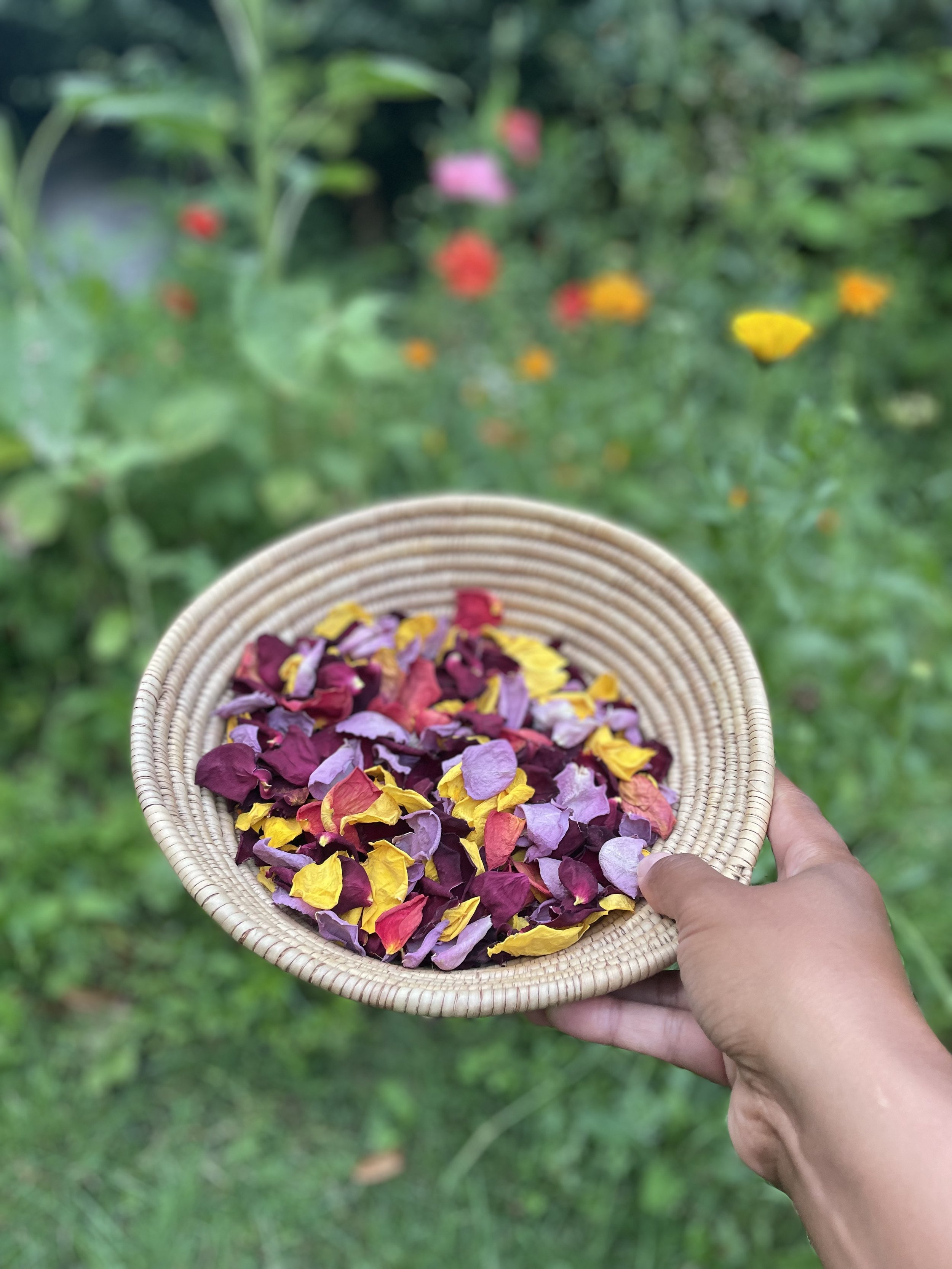 IMG_6623 - Rosie Carter-Suso.jpeg