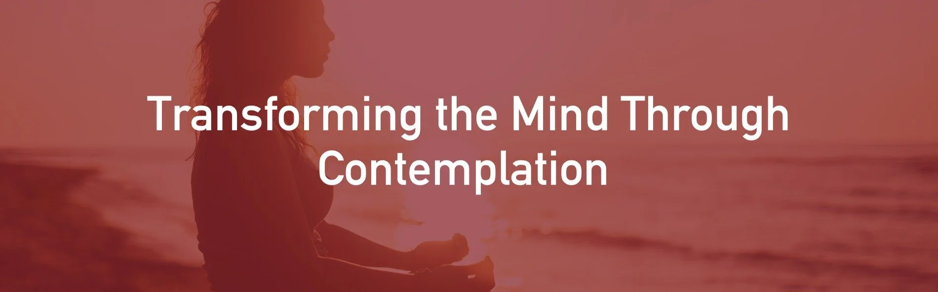 Transforming the Mind Through Contemplation 