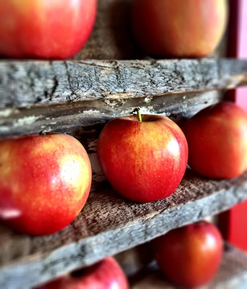 apples.jpg