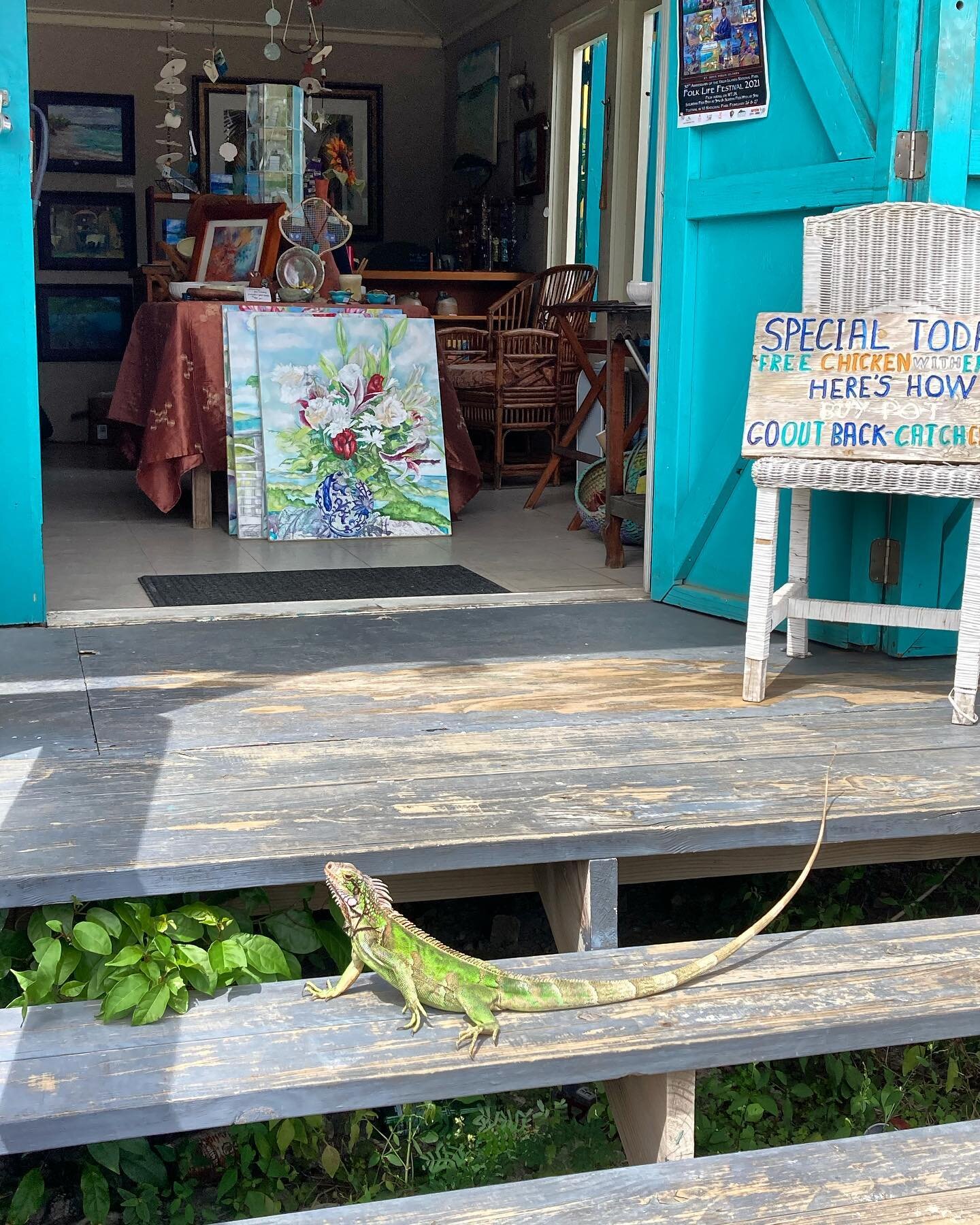 #neveradullmoment  St. John VI Pottery , where everyone is welcome 😊 
.
.
.
.
.
#potteryvibes #iguana #coralbaydays #reels #potteryshop #studio #stjohnusvi #art #love #create #stjohnvipottery #makepotteryinparadise