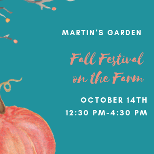 FALL FESTIVAL ON THE FARM